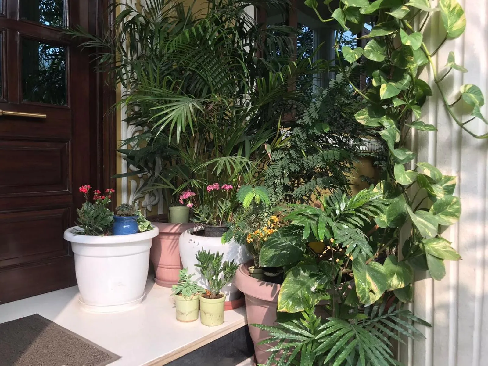 Facade/entrance in Jeenmount Heritage Boutique Hotel