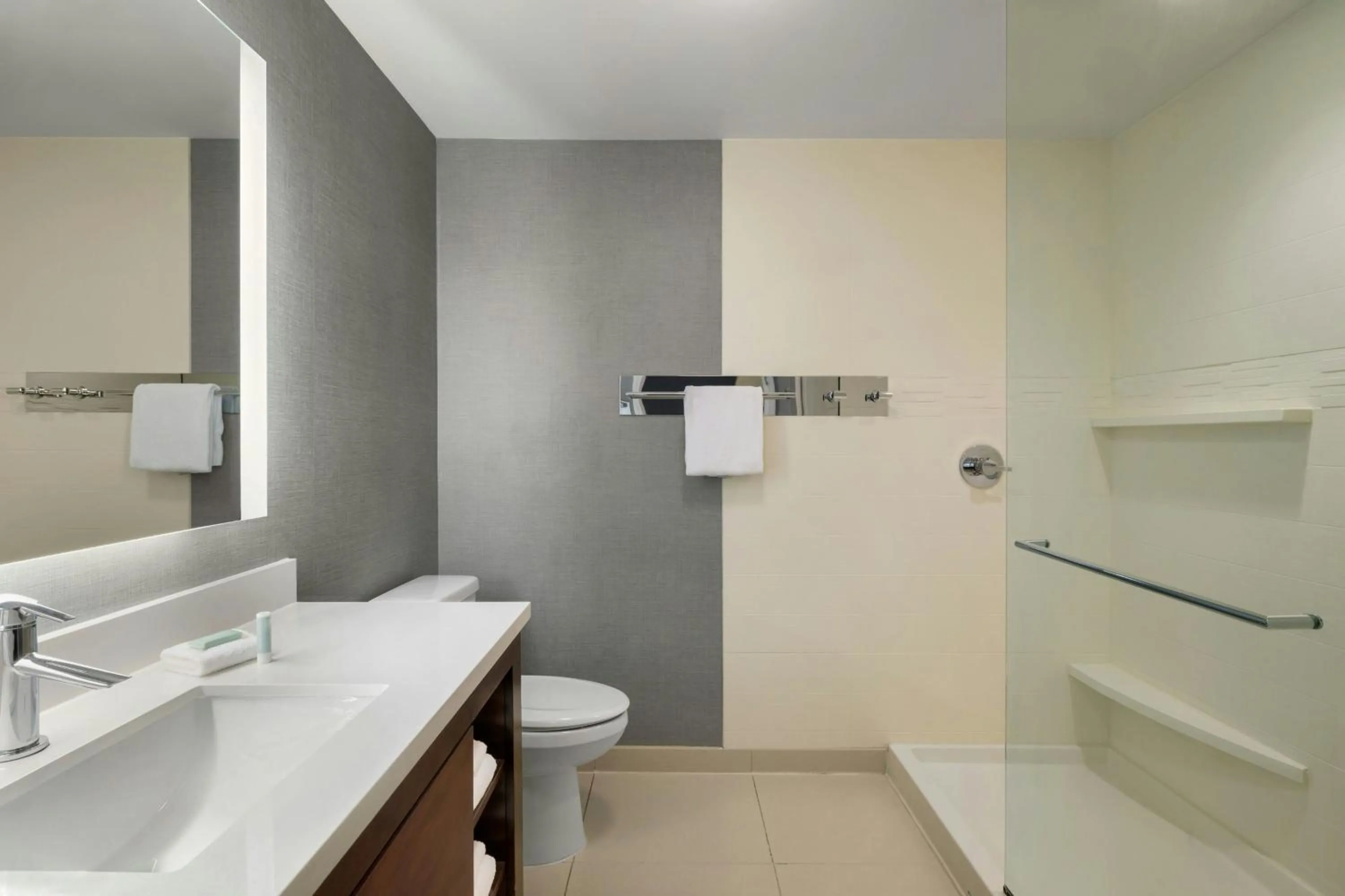 Bathroom in Residence Inn by Marriott Albany Washington Avenue