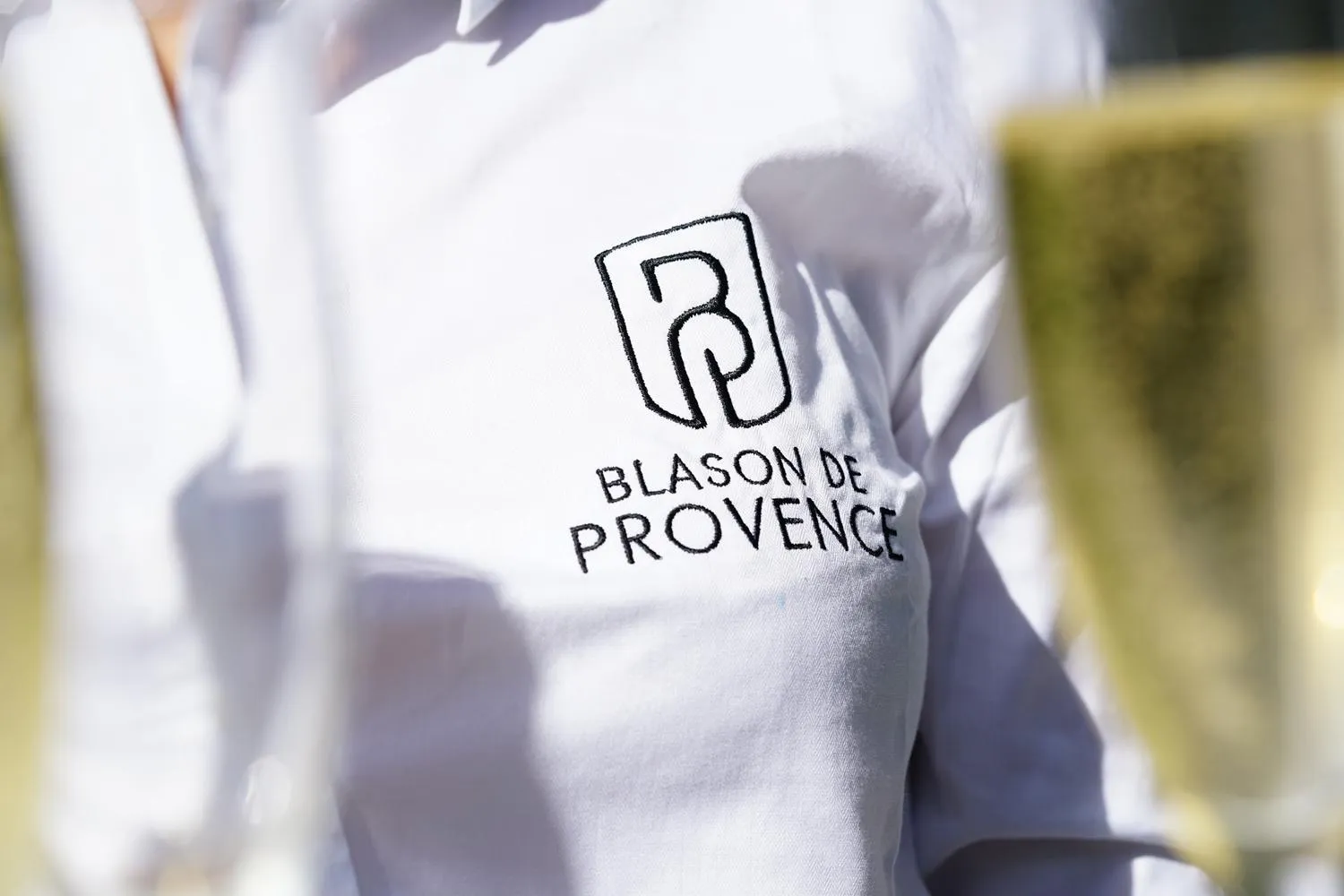 Decorative detail in Logis Hotel Le Blason de Provence