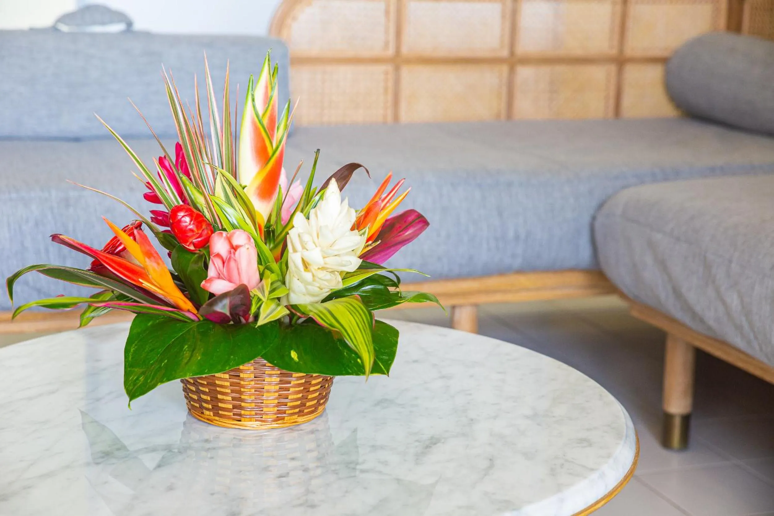 Living room in Résidence Le Vallon Guadeloupe Parc Piscine Appartements & Studios