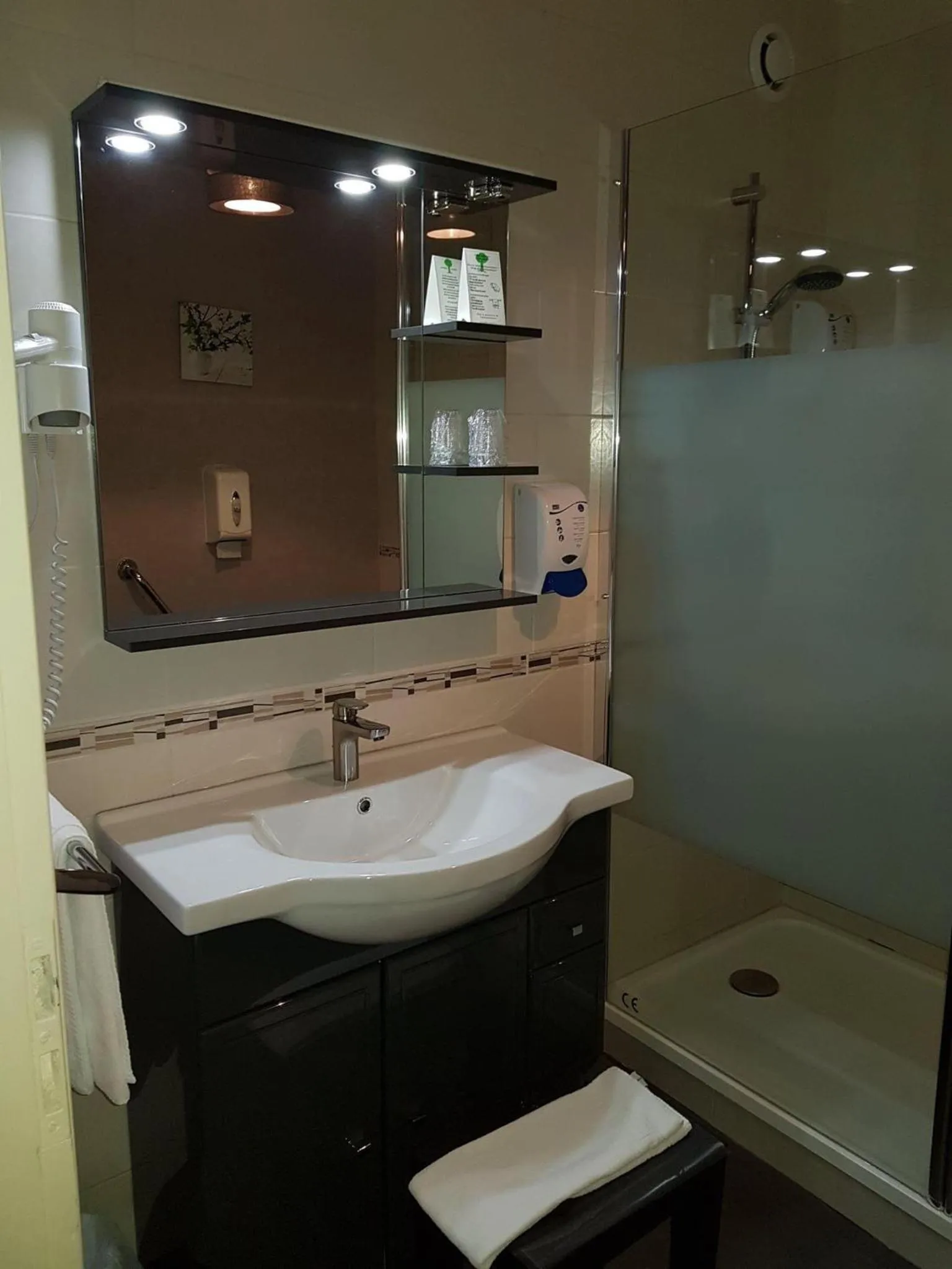 Shower in Hôtel Le Lyon Vert Commentry