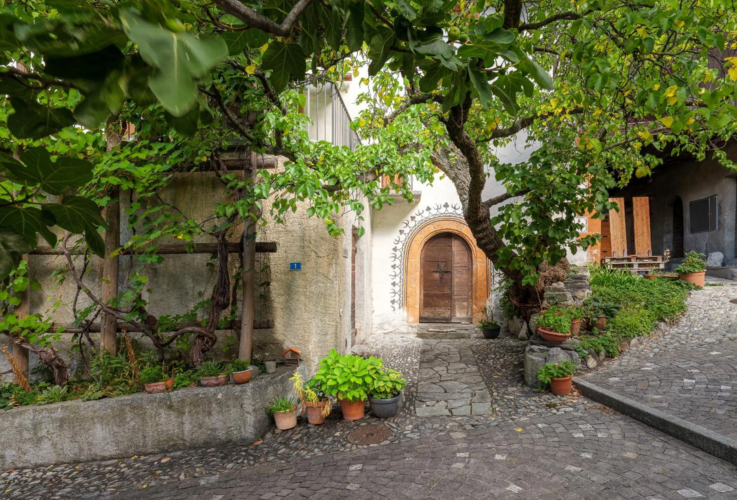 Facade/entrance in Cricerhaus