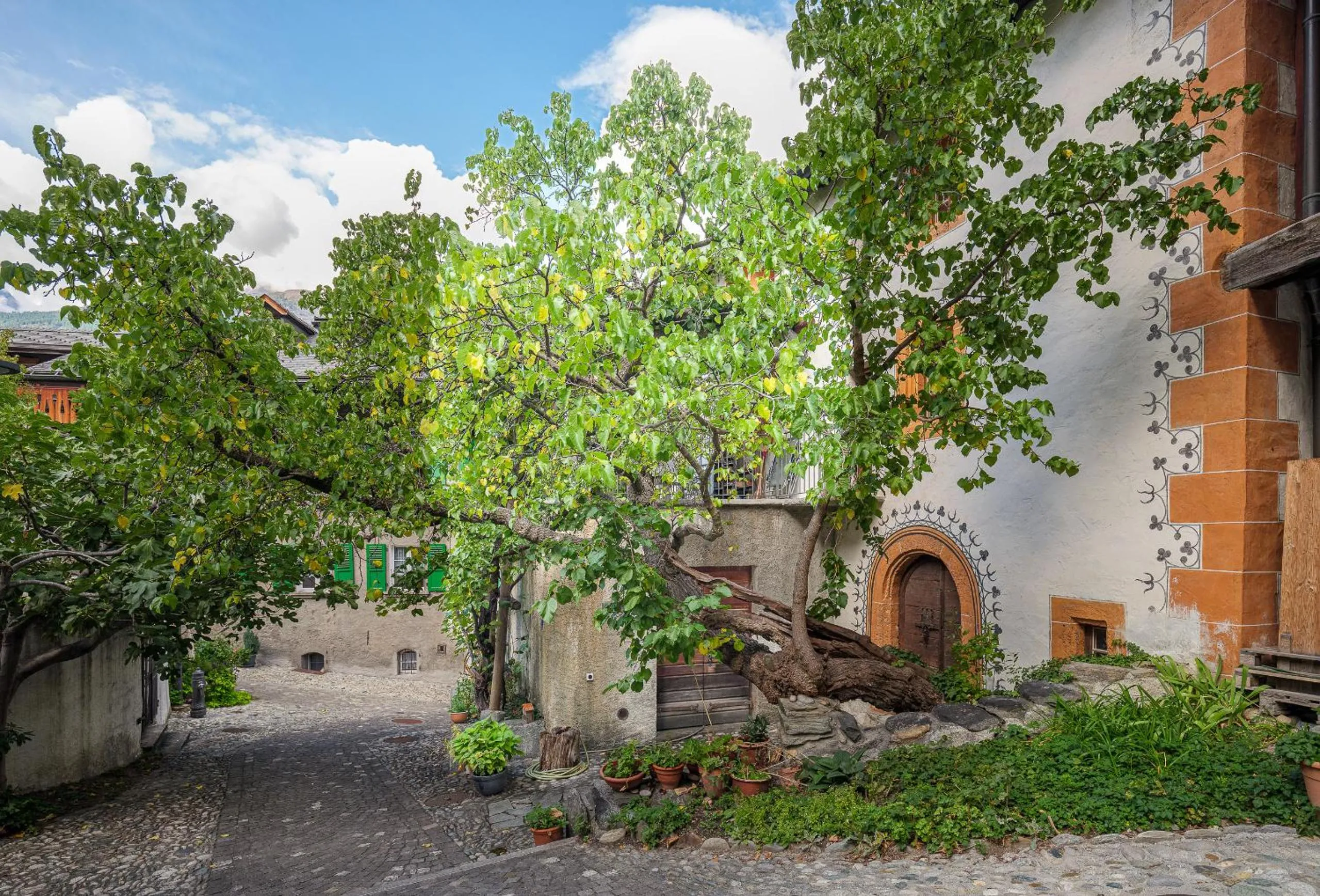 Property building in Cricerhaus