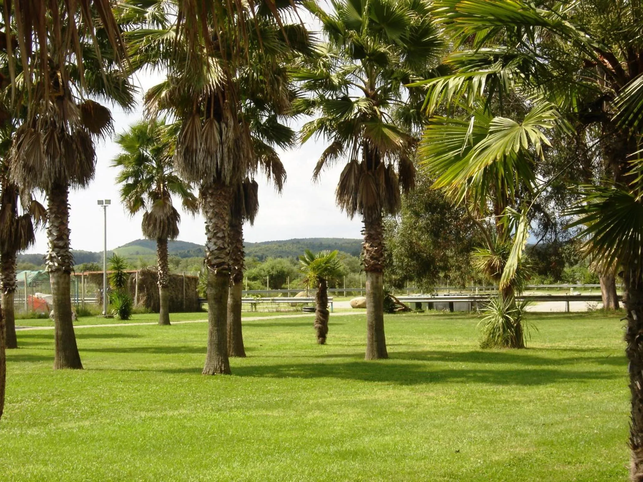 Facade/entrance in Le Banana's Hotel