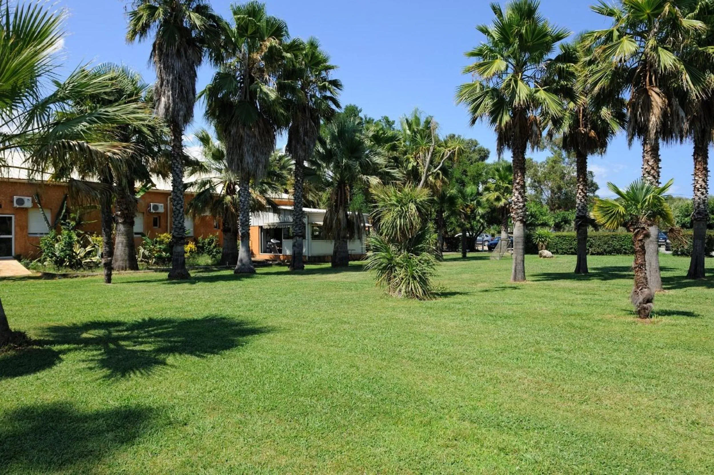 Garden in Le Banana's Hotel