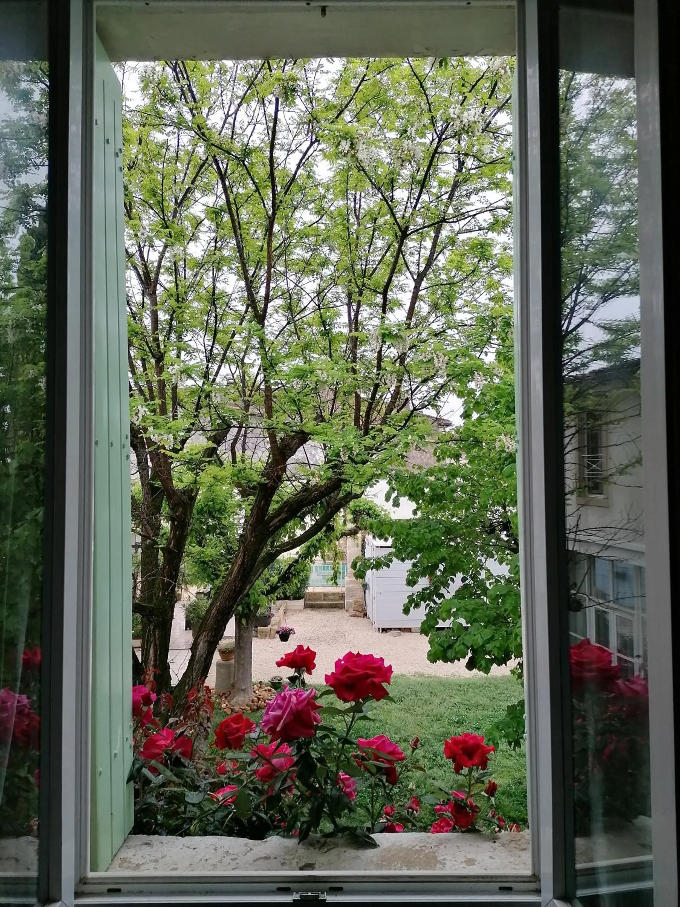 Garden view in Lacanepière