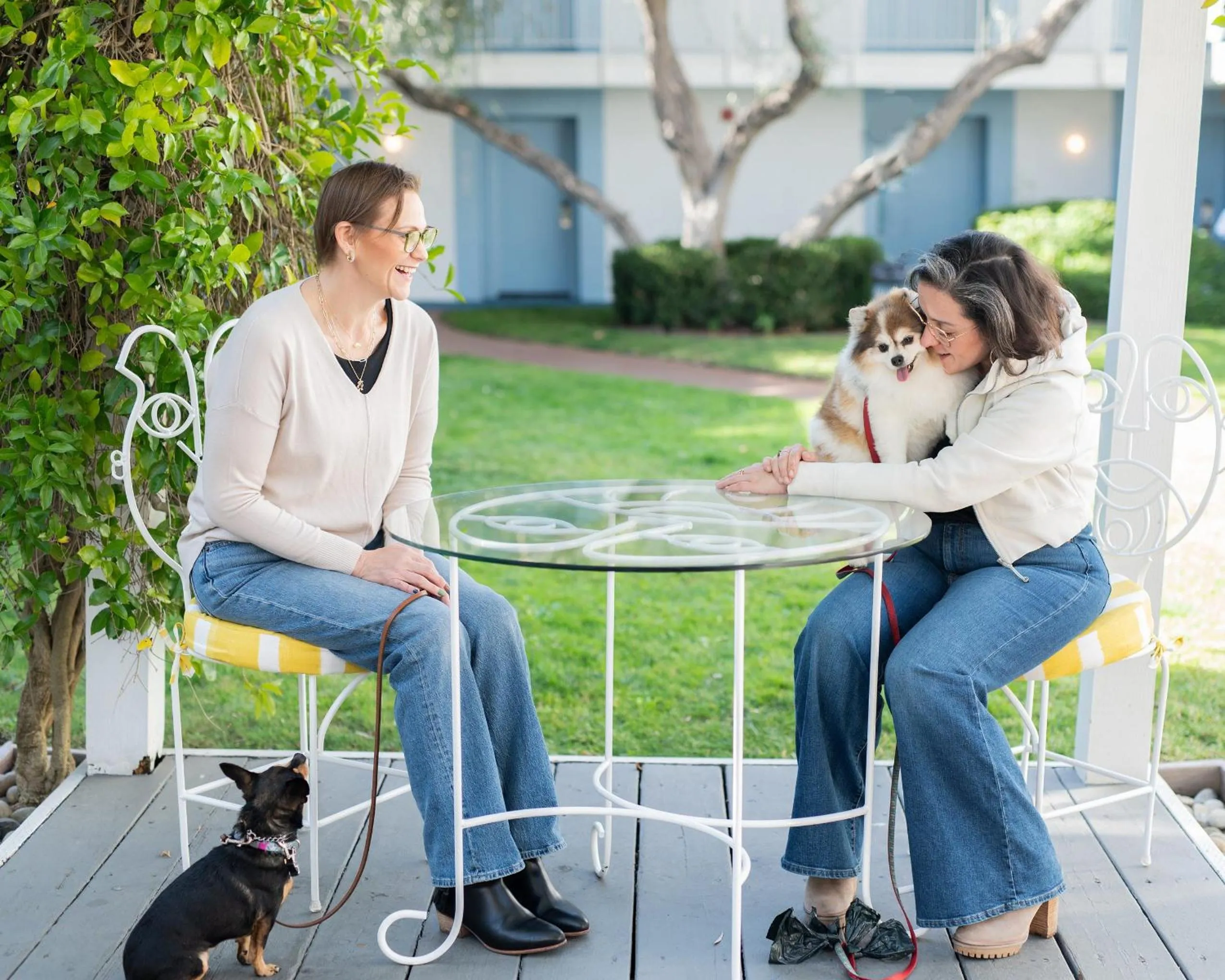 Pets in Wild Palms, a JdV by Hyatt Hotel