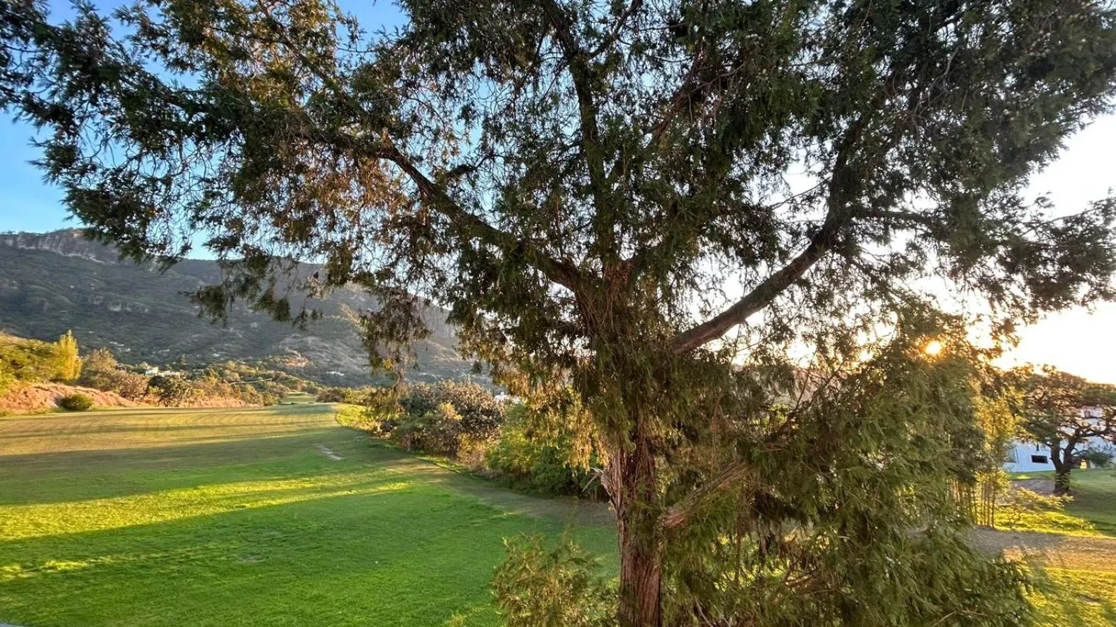 Garden view in Villas de la Montaña