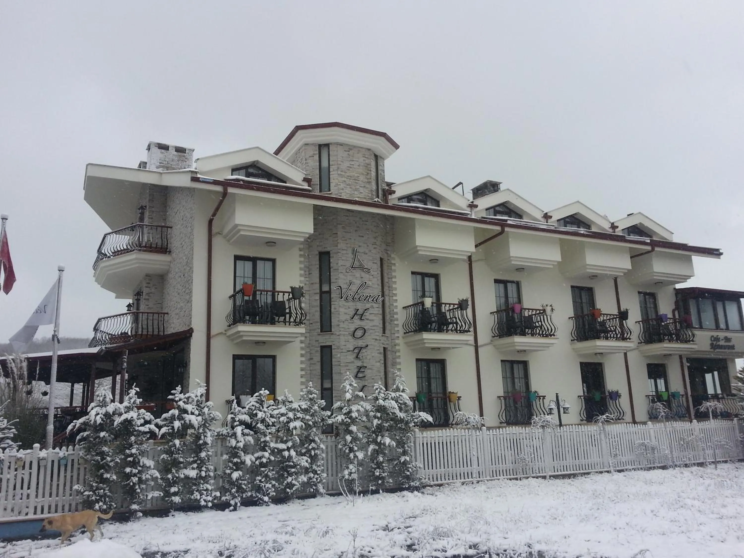 Facade/entrance in Velena Hotel