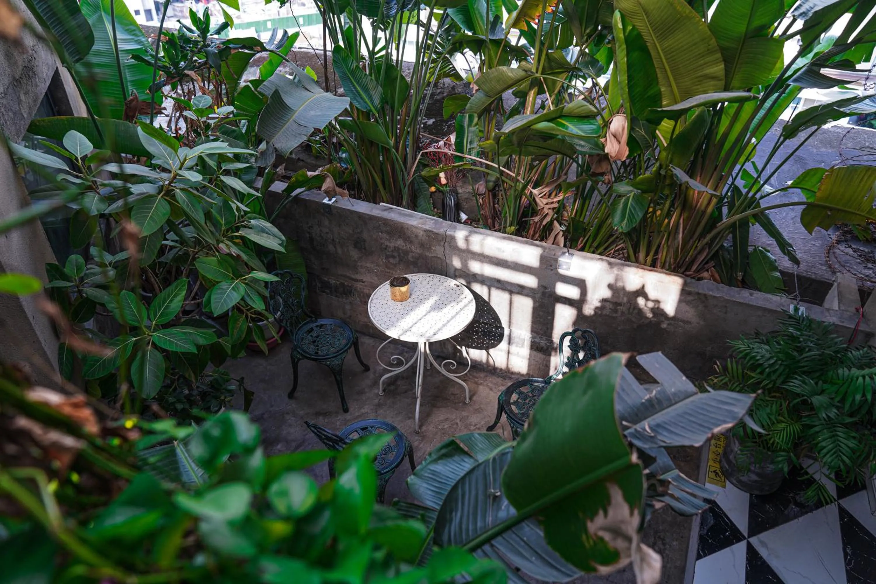 Garden view in Chengdu Local Tea Hostel - Short Walk To Taikooli - Chill & Social Coffee Lounge - Metro downstairs - Free Activities - Friendly English Speaking Staff - Tibet, Panda, Buddha & Snow Mountain Tours