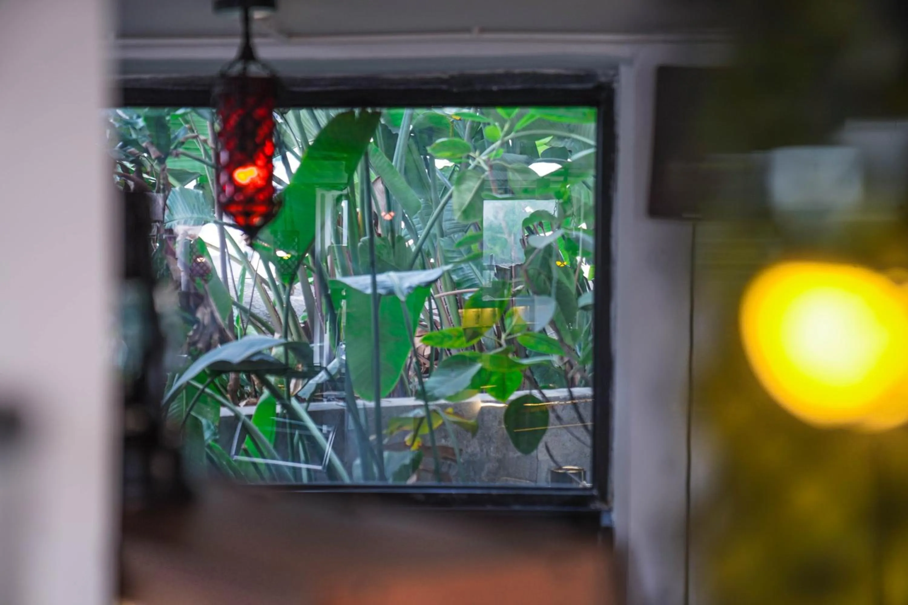 Coffee/tea facilities in Chengdu Local Tea Hostel - Short Walk To Taikooli - Chill & Social Coffee Lounge - Metro downstairs - Free Activities - Friendly English Speaking Staff - Tibet, Panda, Buddha & Snow Mountain Tours