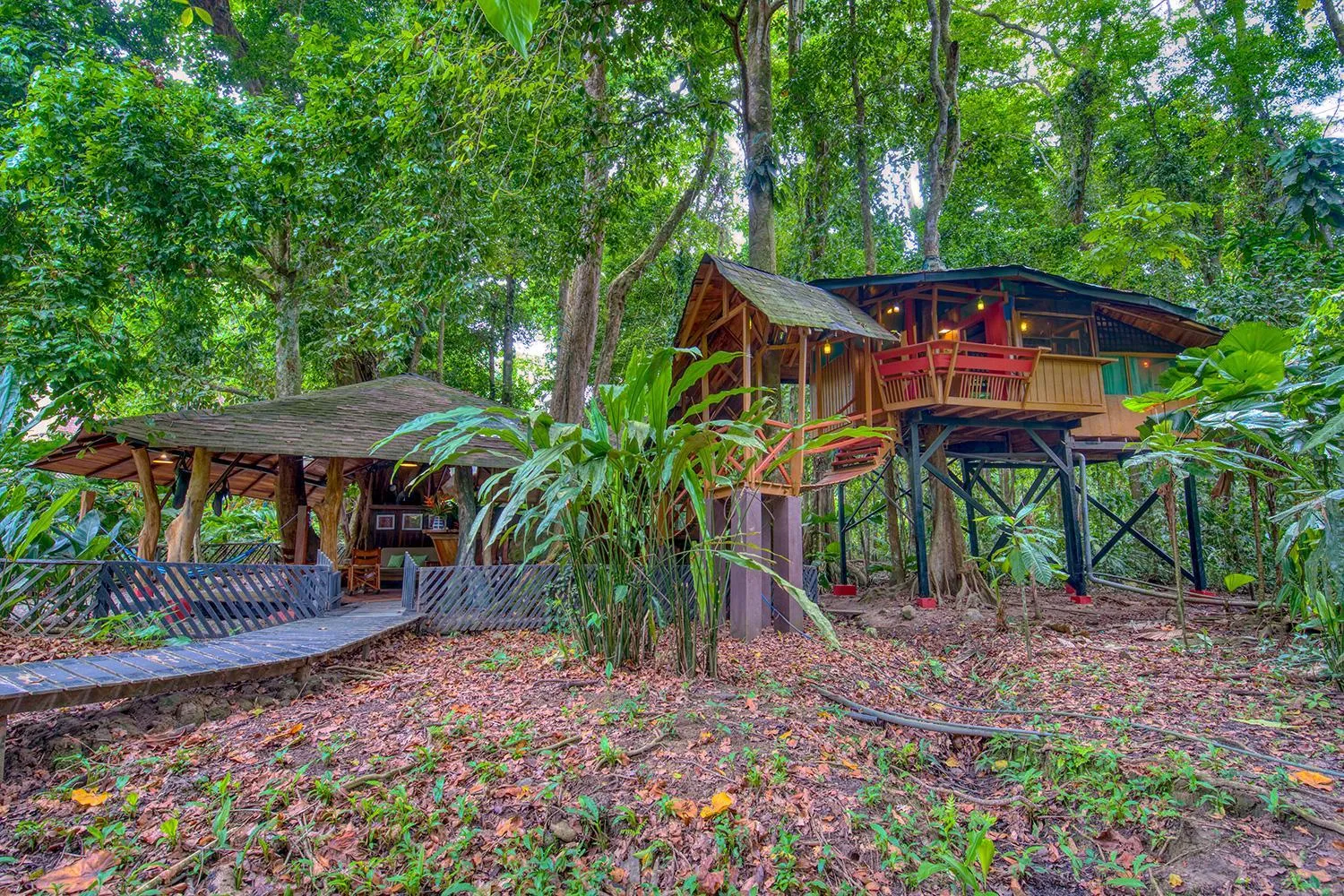 Property building in Tree House Beachfront Lodge