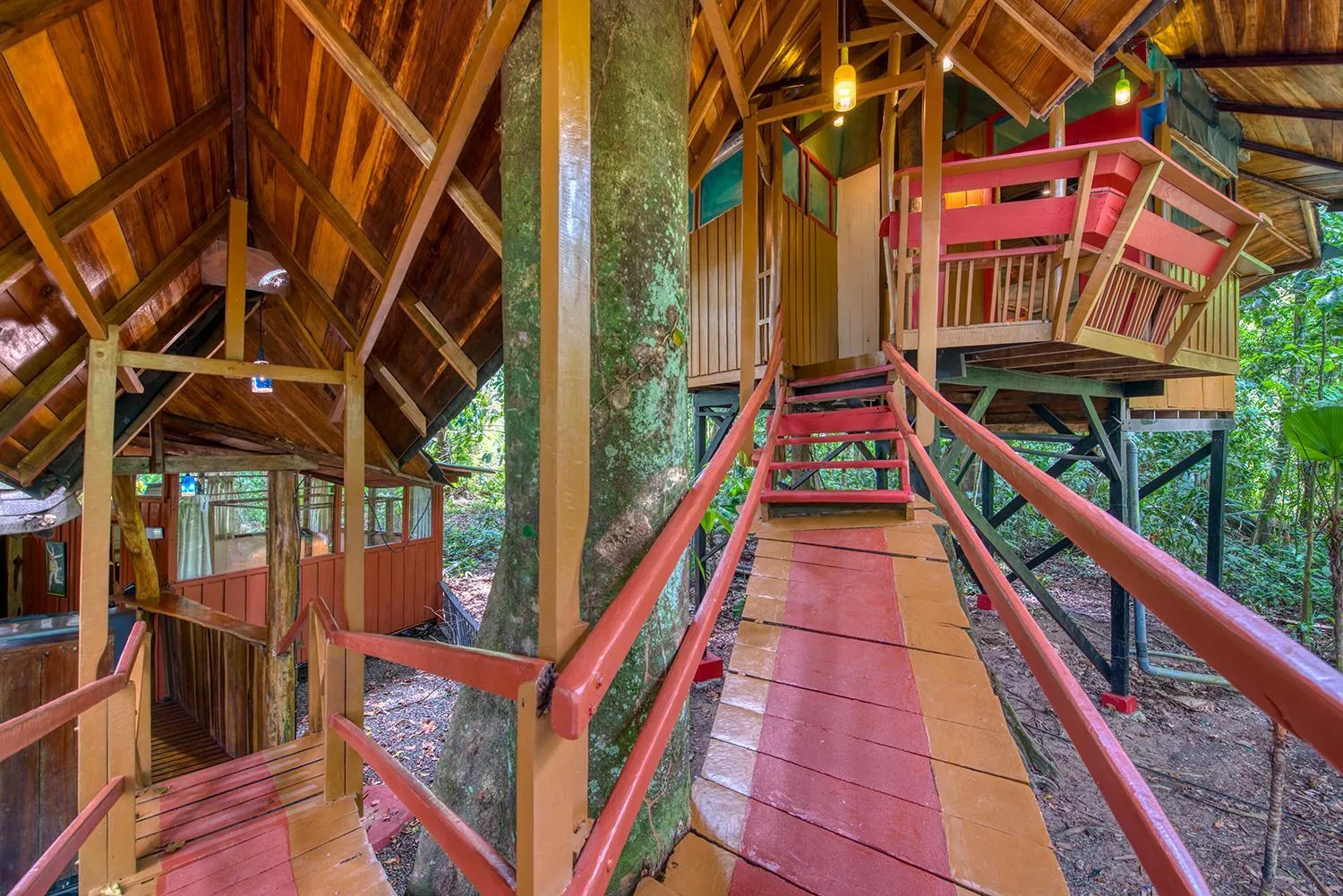 View (from property/room) in Tree House Beachfront Lodge