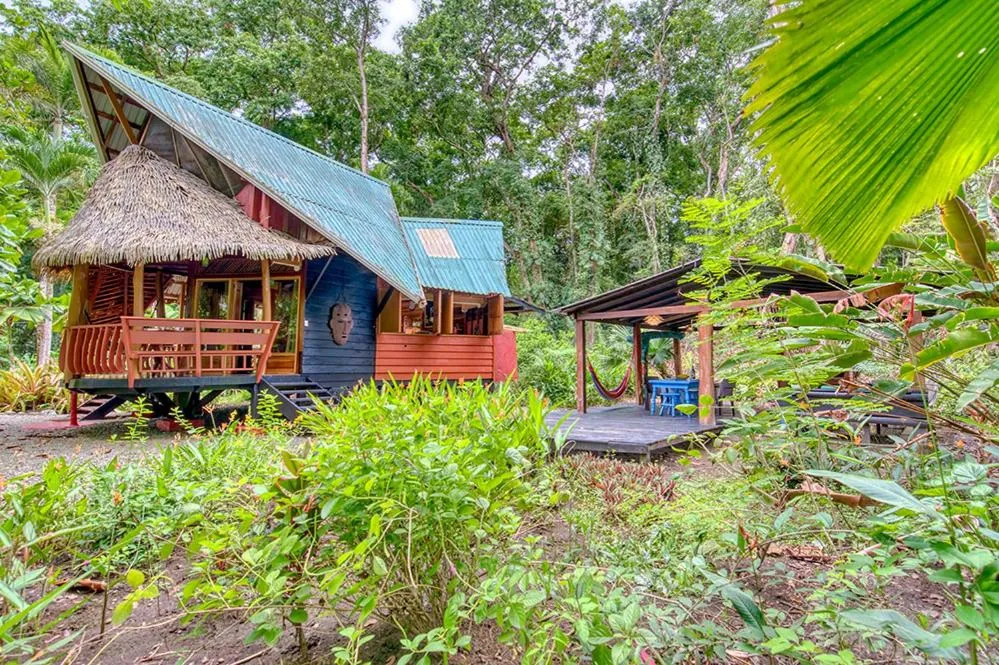 Property building in Tree House Beachfront Lodge