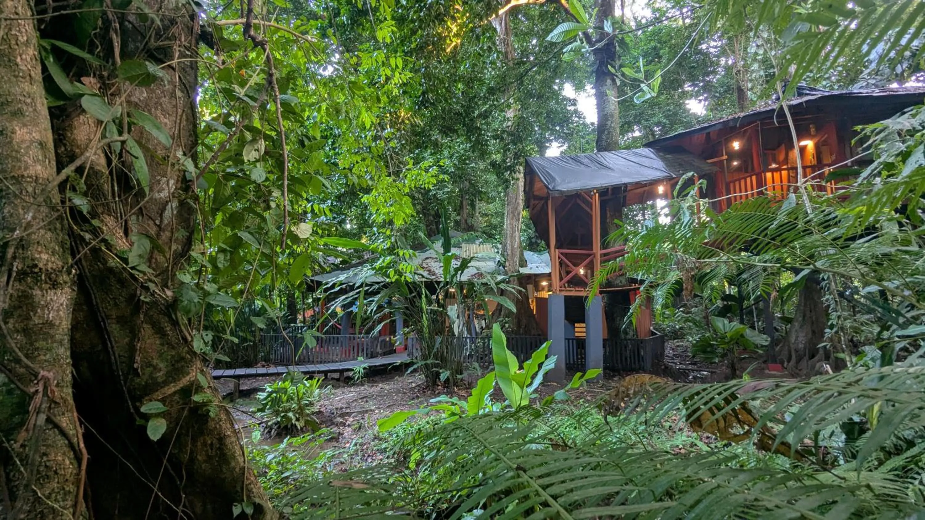 Garden in Tree House Beachfront Lodge