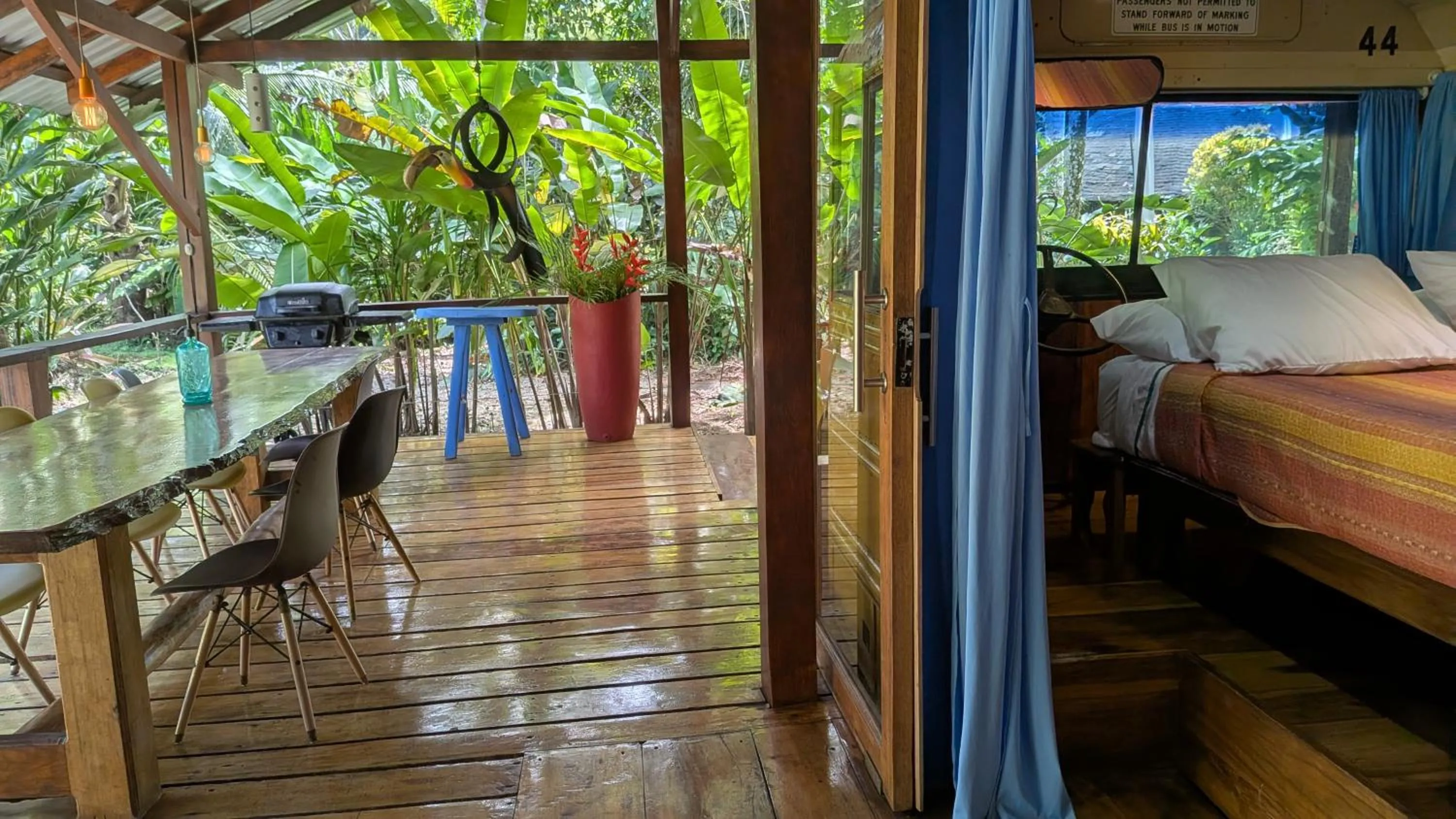 Dinner, Bed in Tree House Beachfront Lodge
