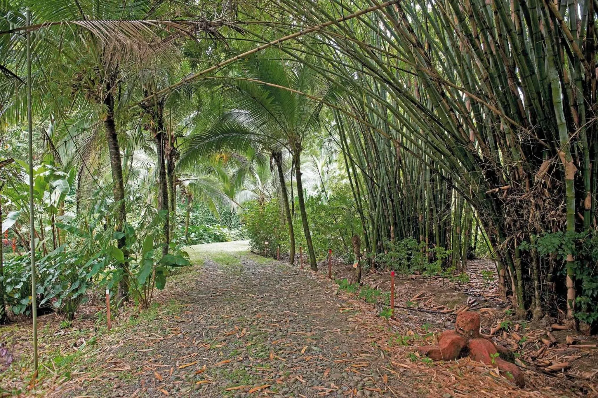 On site in Tree House Beachfront Lodge