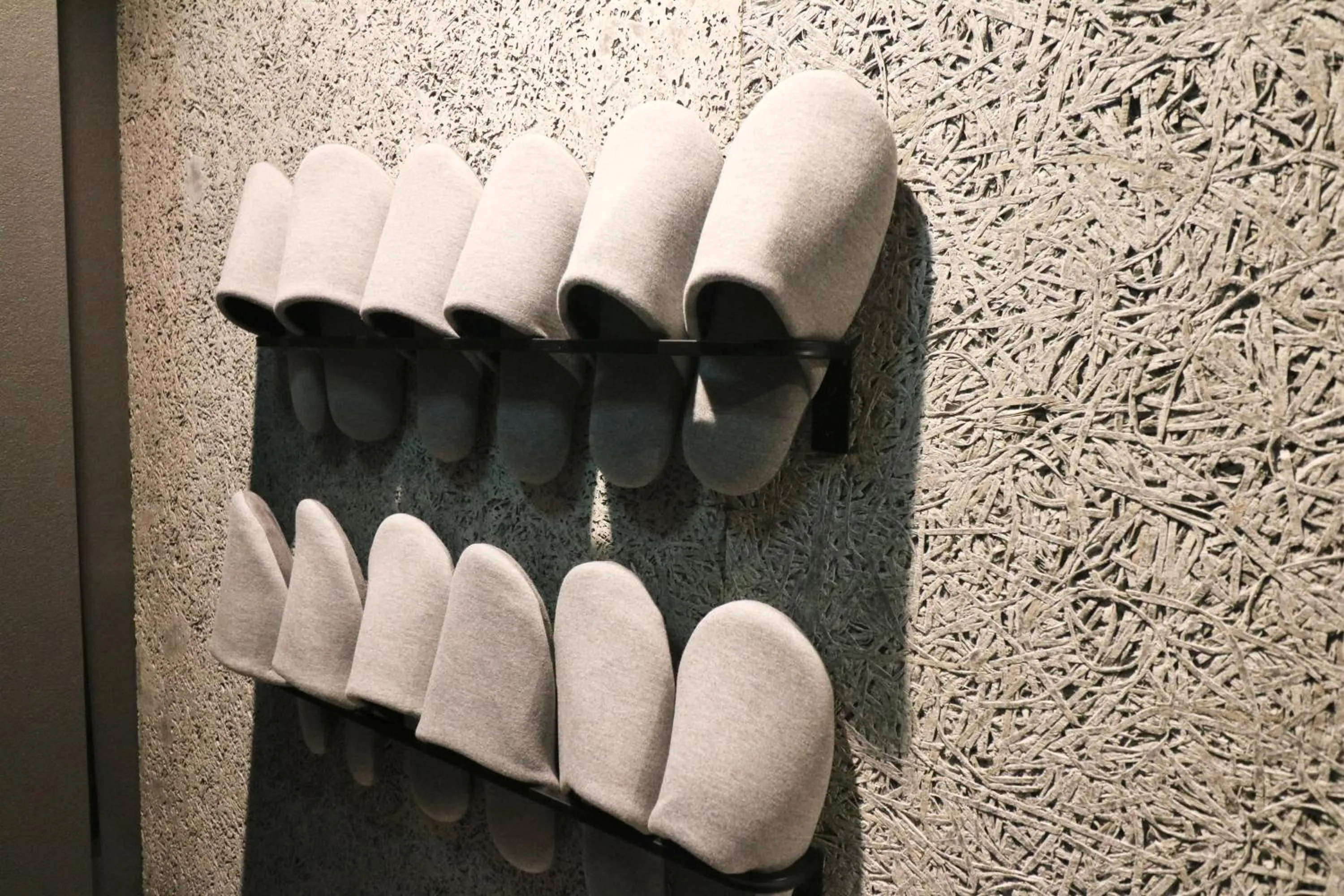 Photo of the whole room in Maison Sapporo