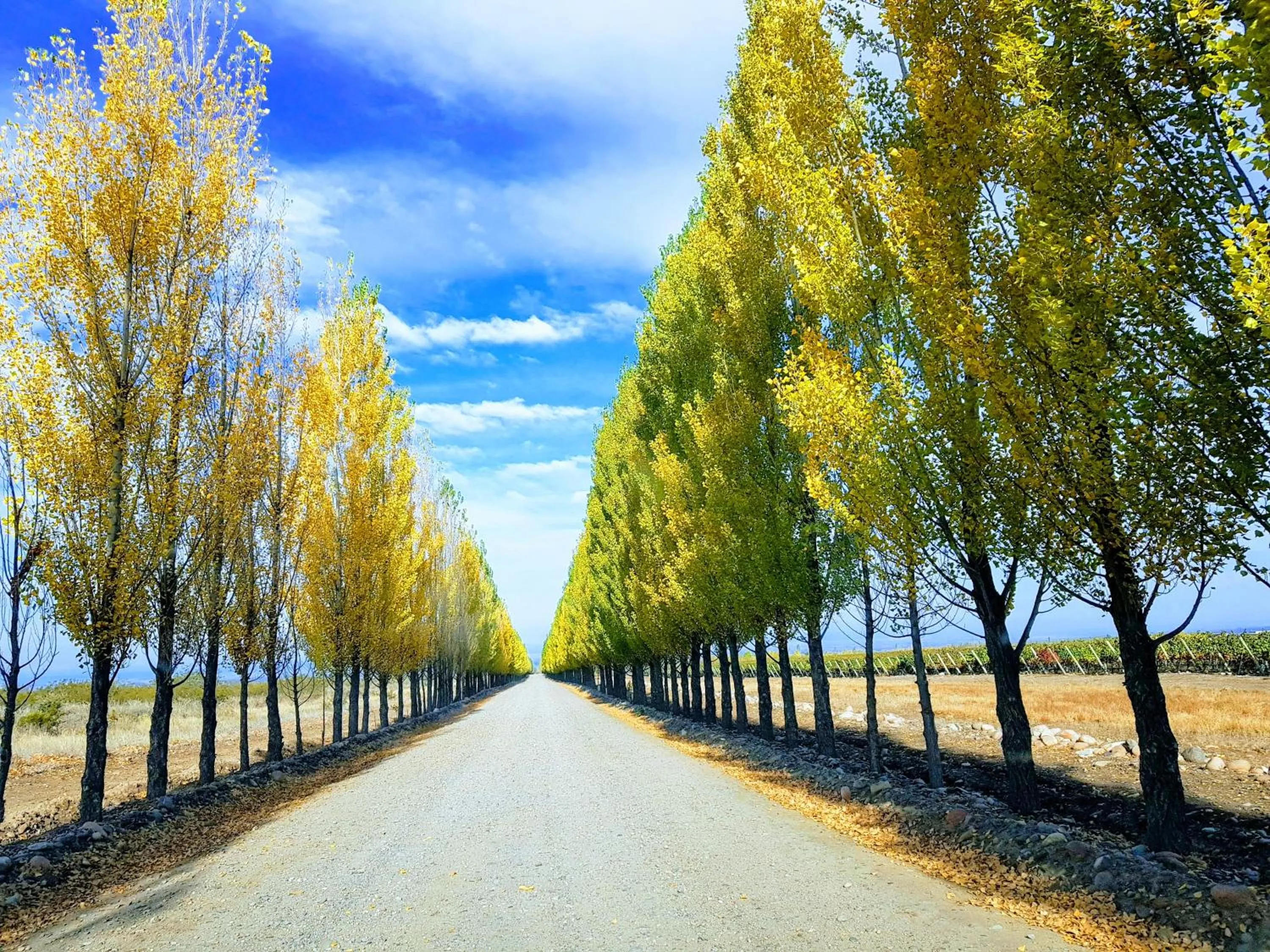 Autumn in Posada Salentein