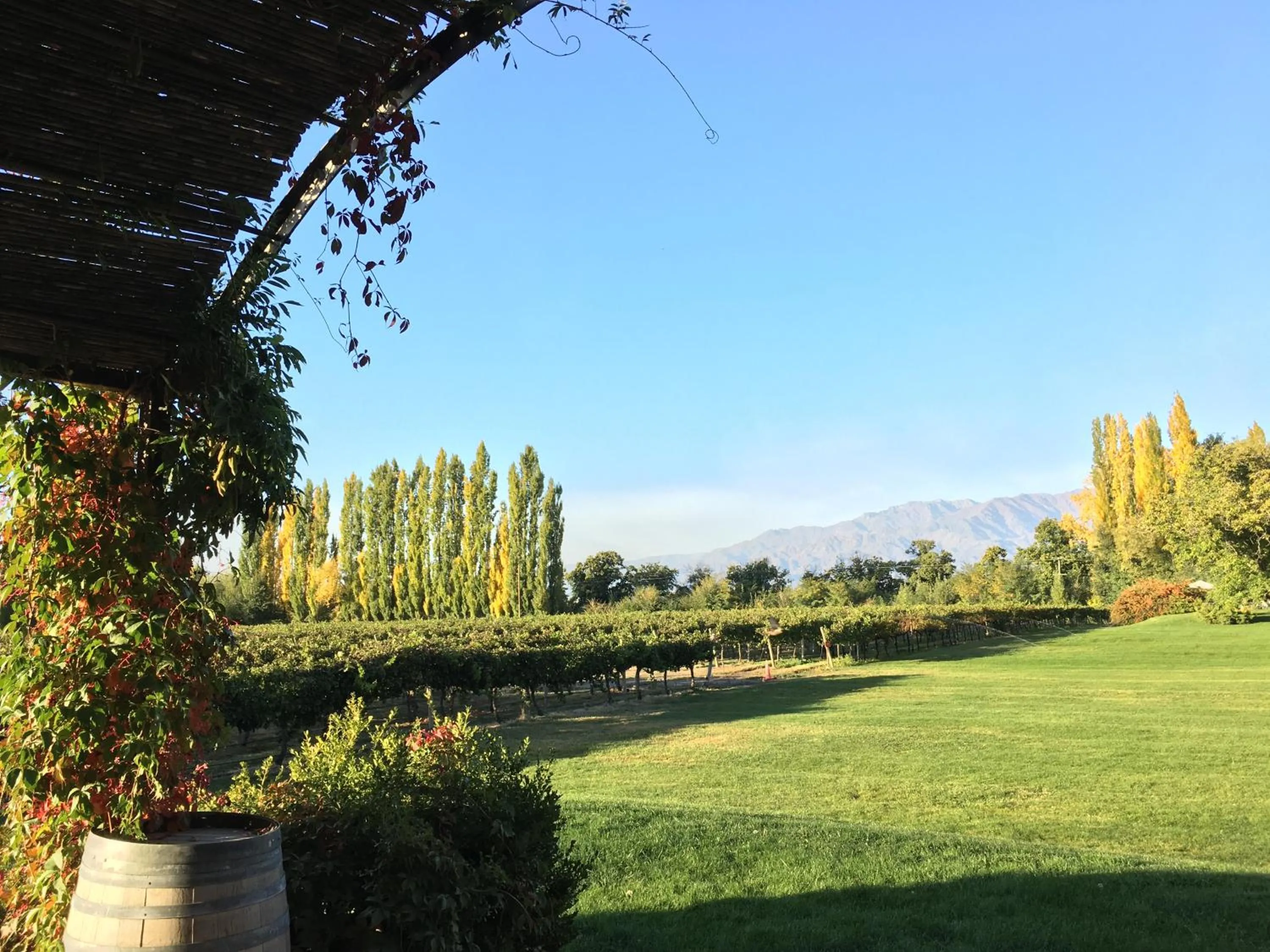 Other in Posada Salentein