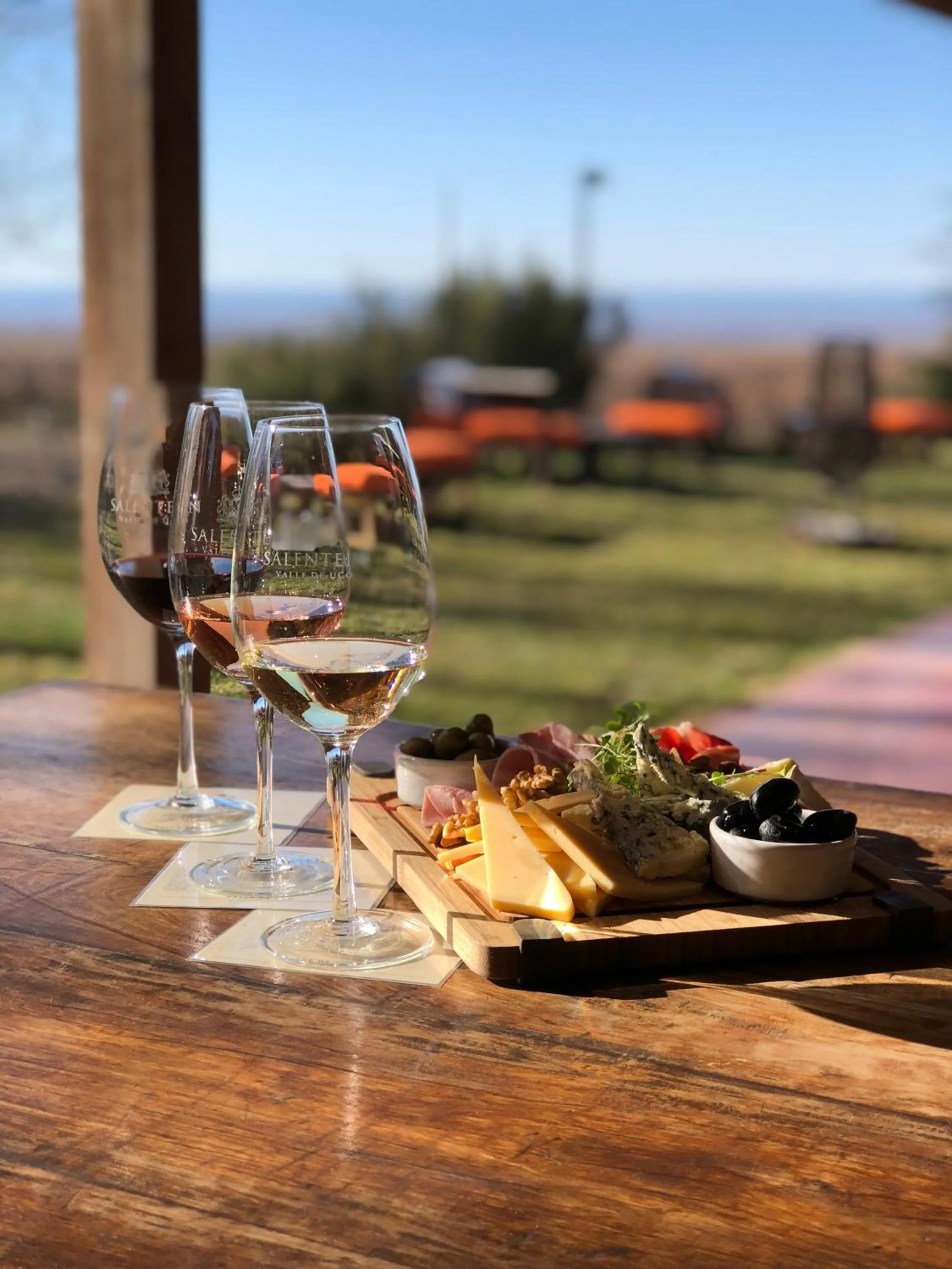 Food and drinks in Posada Salentein