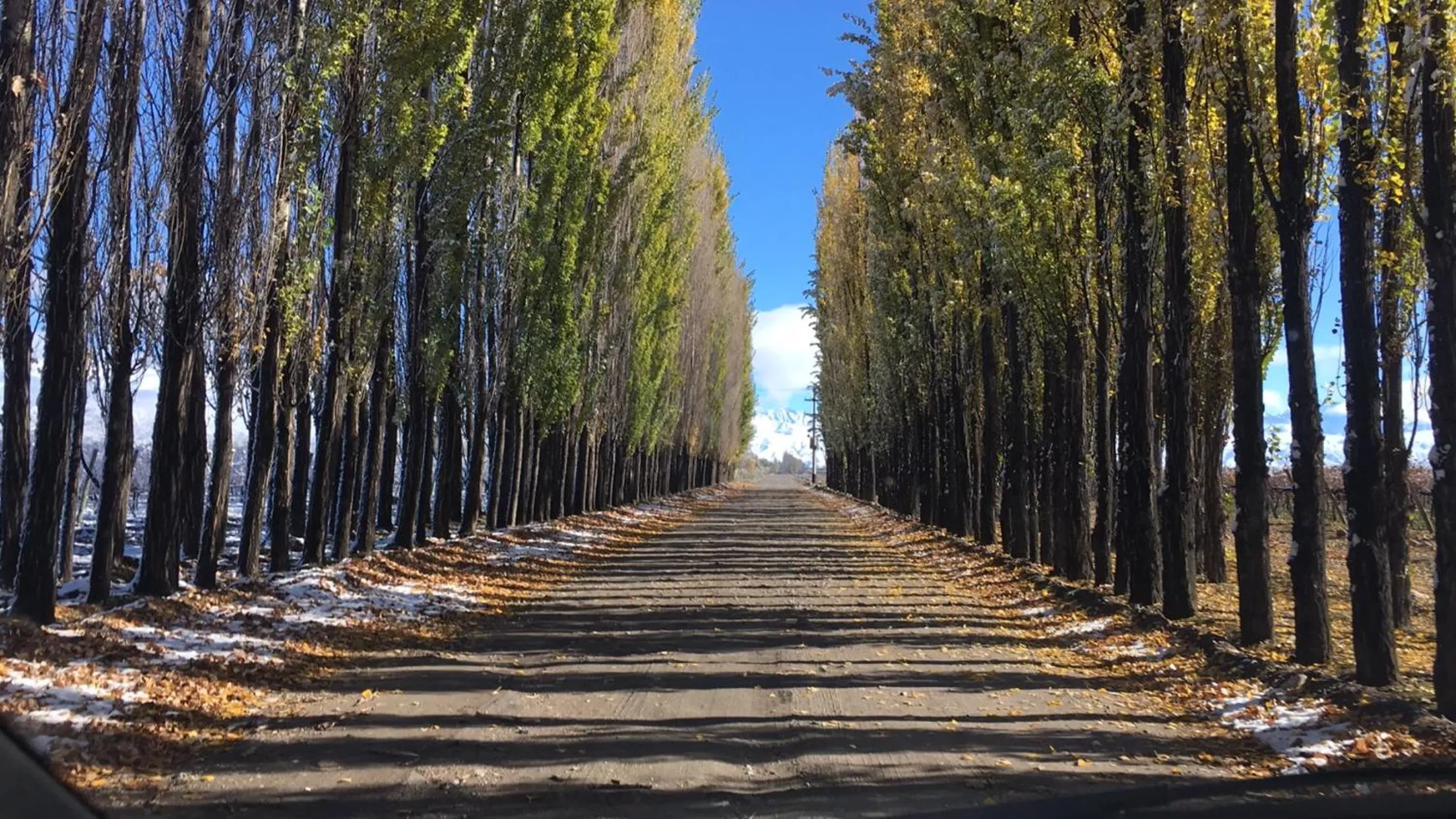 Other in Posada Salentein