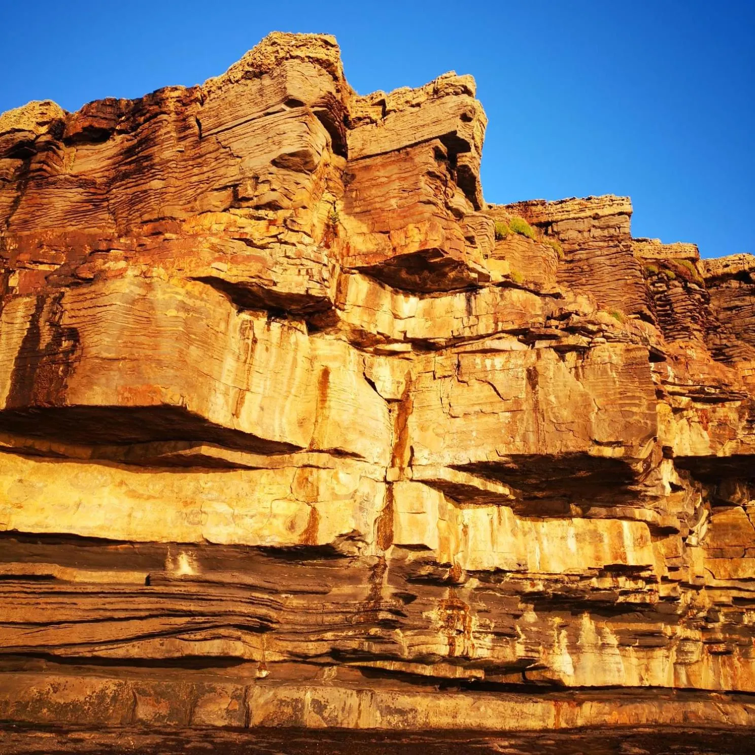 Activities in Seawinds Bed and Breakfast