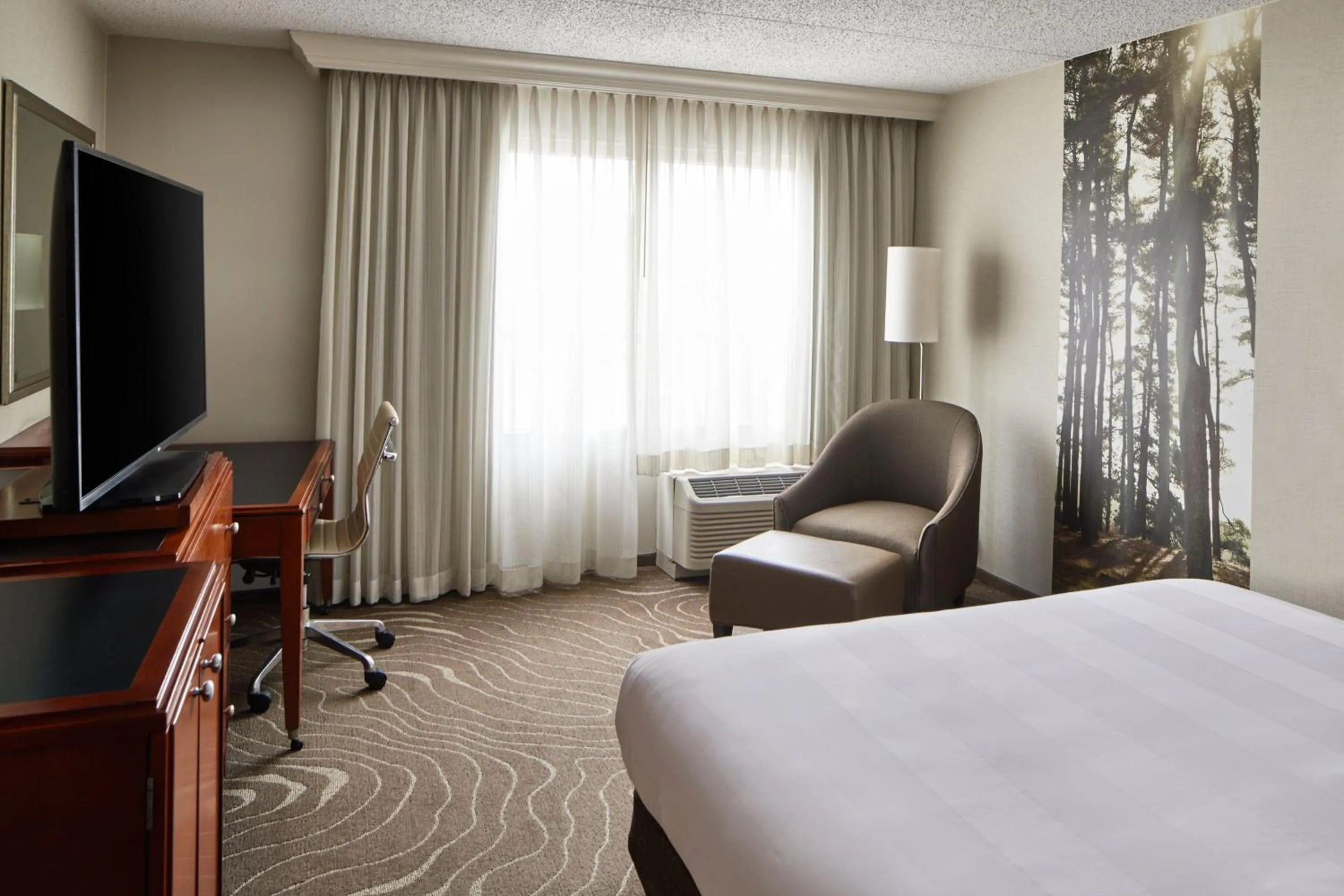 Photo of the whole room, Bed in Detroit Metro Airport Marriott