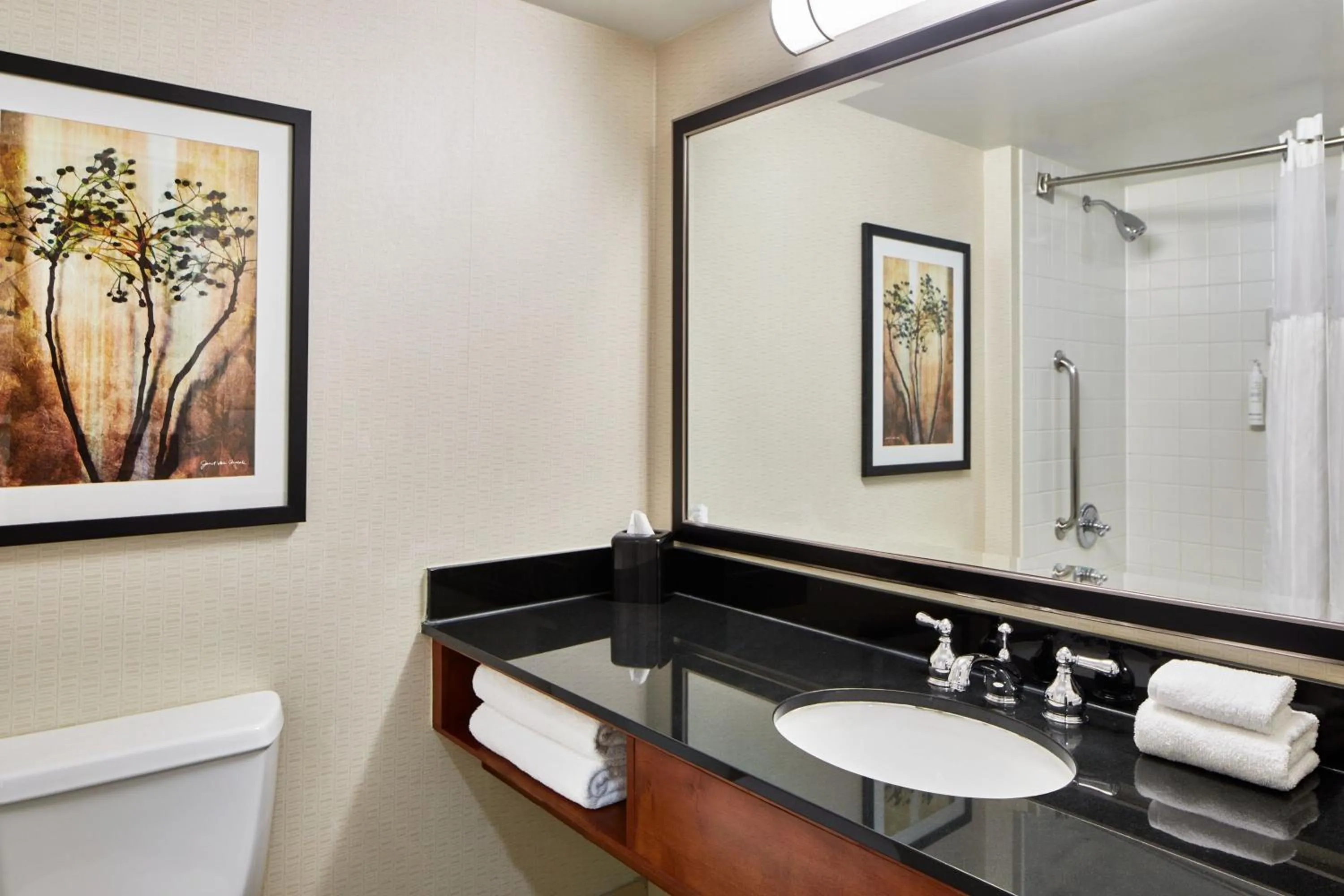 Bathroom in Detroit Metro Airport Marriott