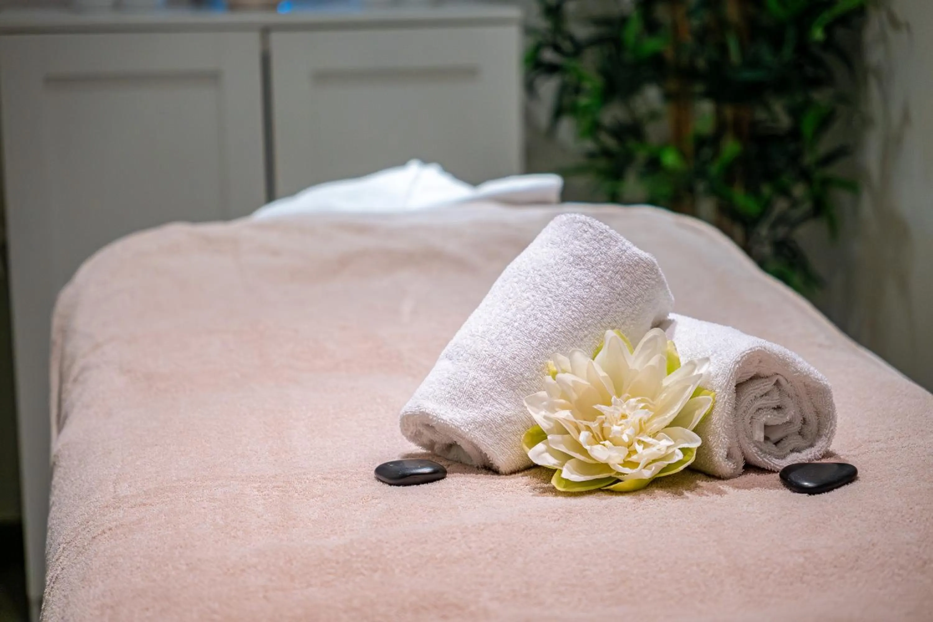 Spa and wellness centre/facilities, Bed in Hotel Saint Paul