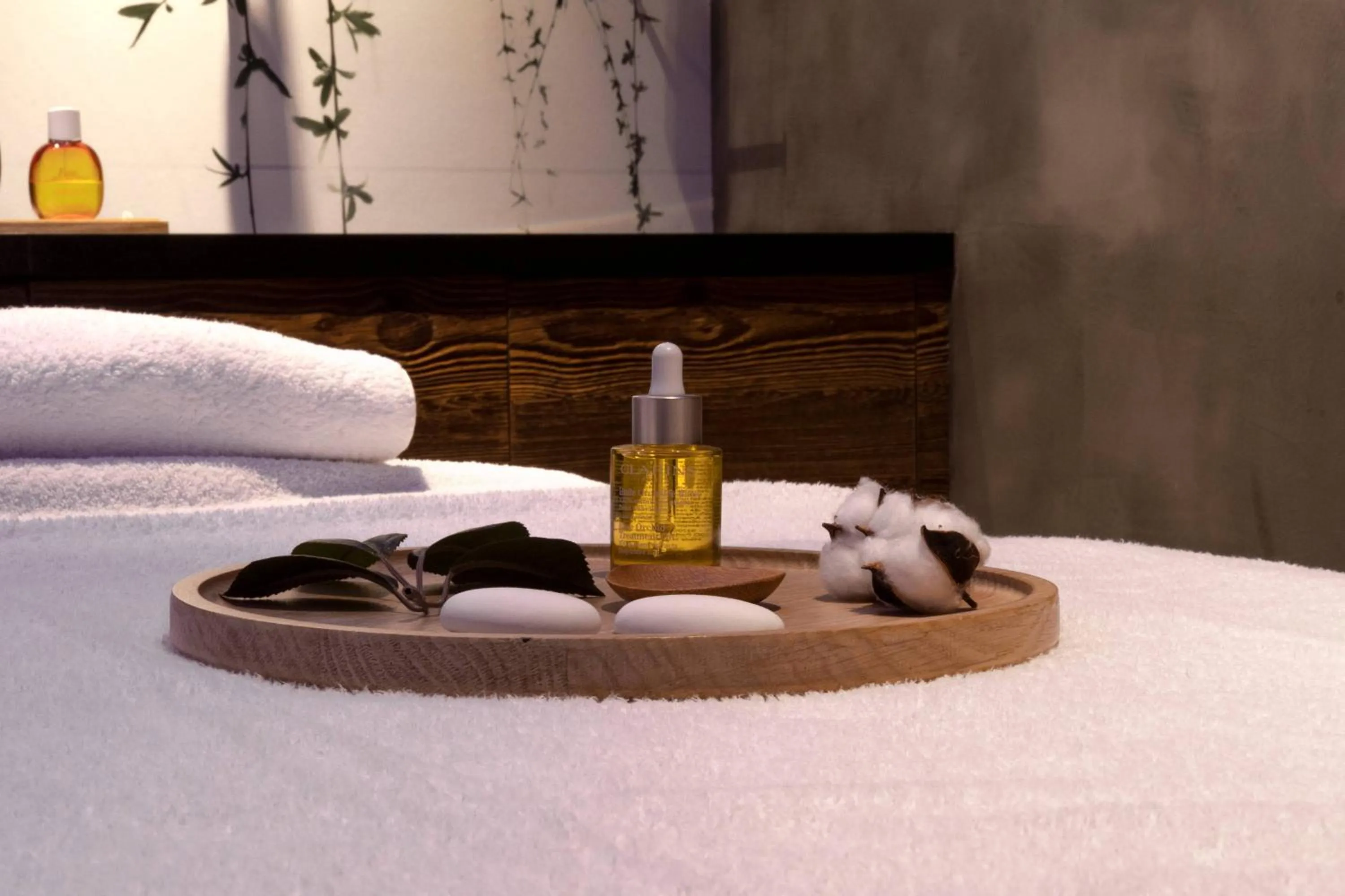 Spa and wellness centre/facilities, Bed in M de Megève