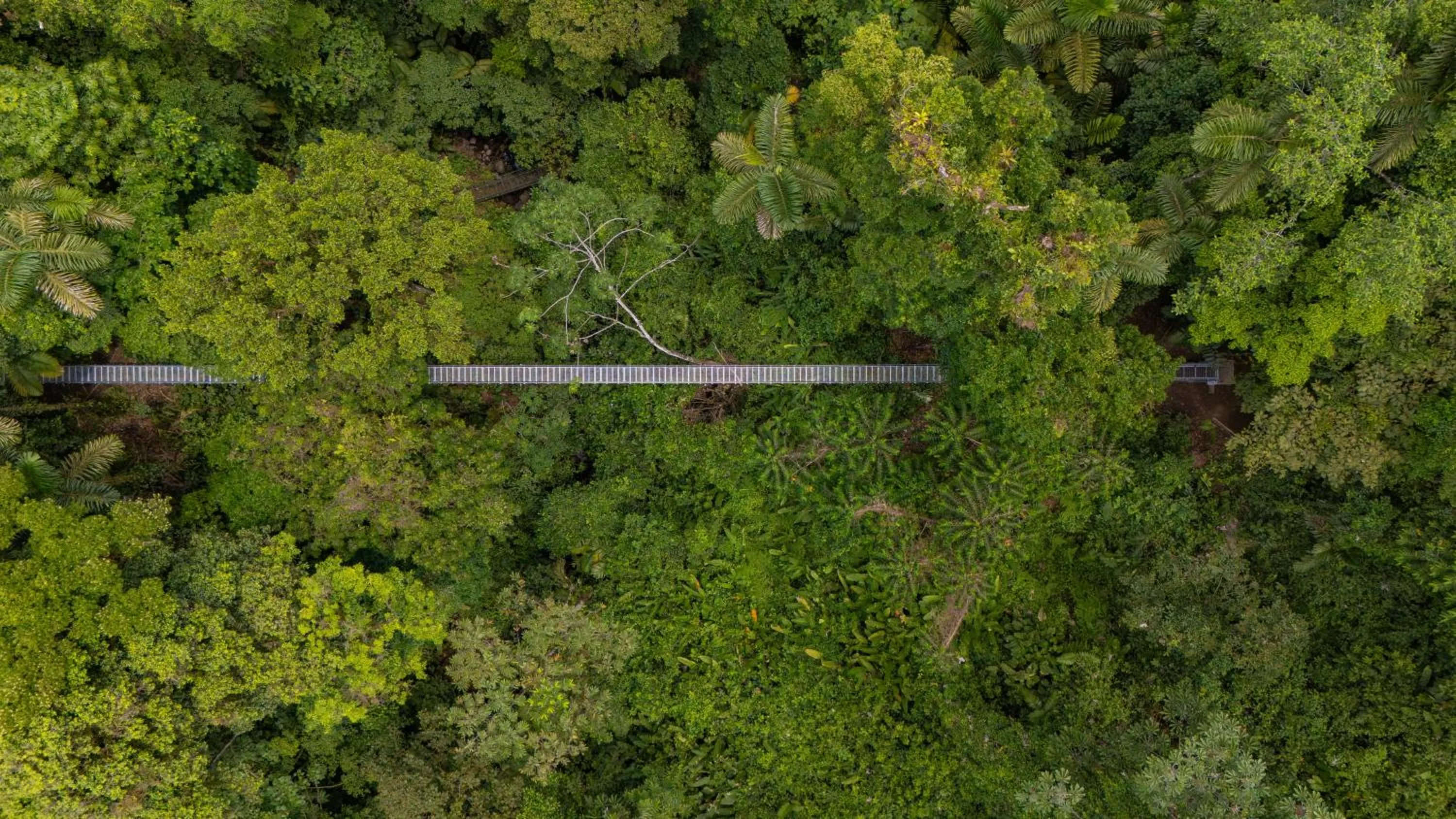 Day in Lost Iguana Resort and Spa