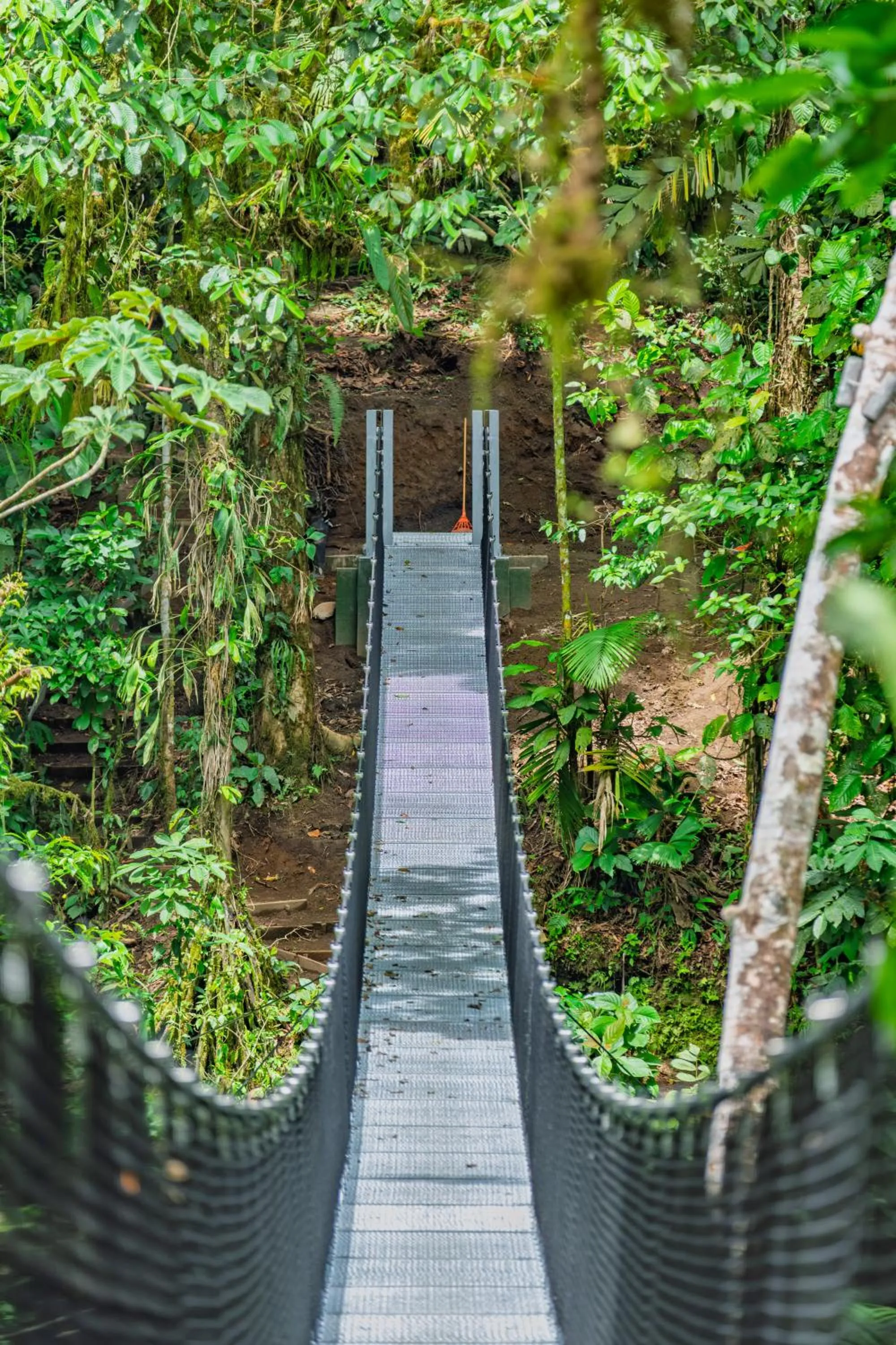 Natural landscape in Lost Iguana Resort and Spa