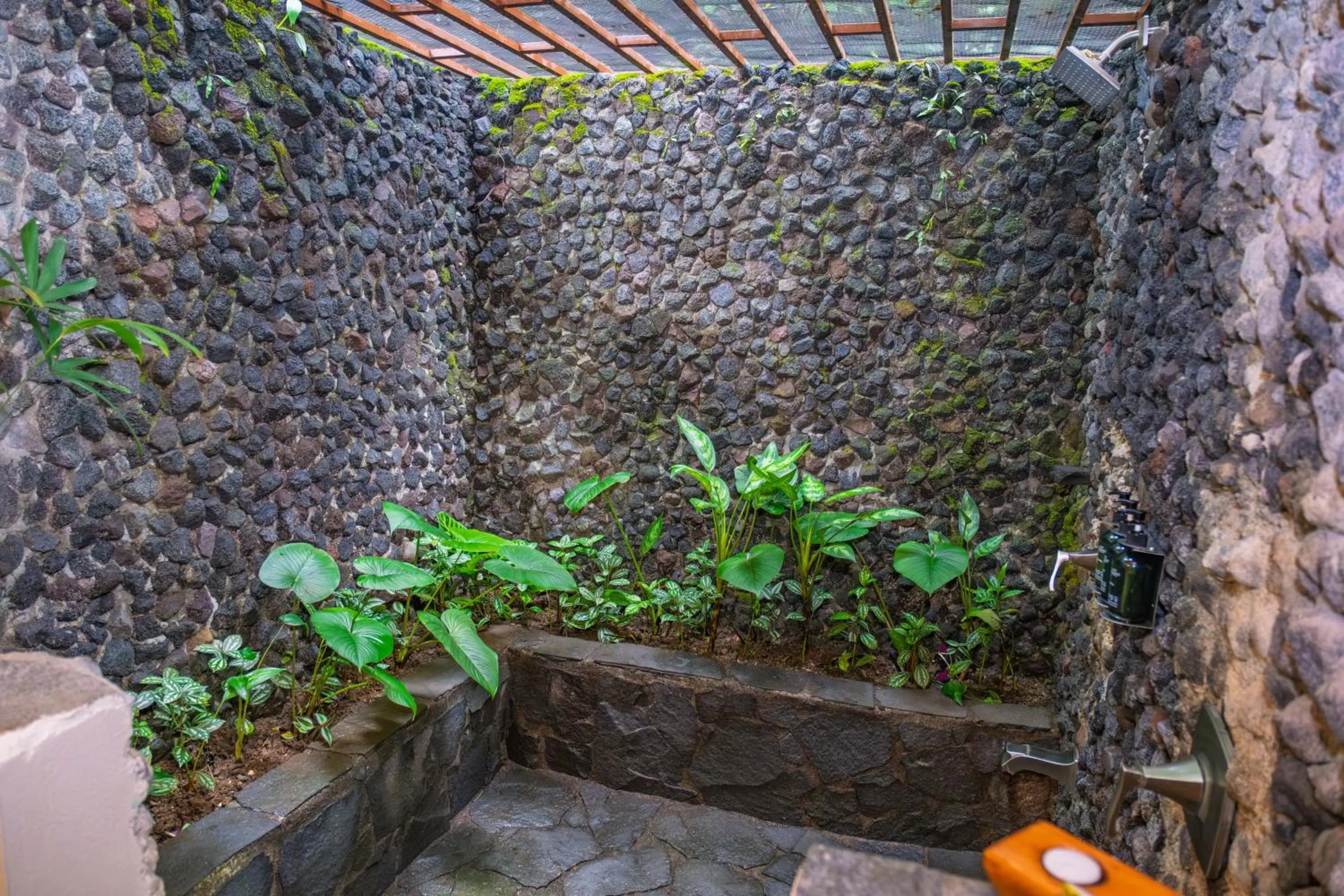 Shower in Lost Iguana Resort and Spa