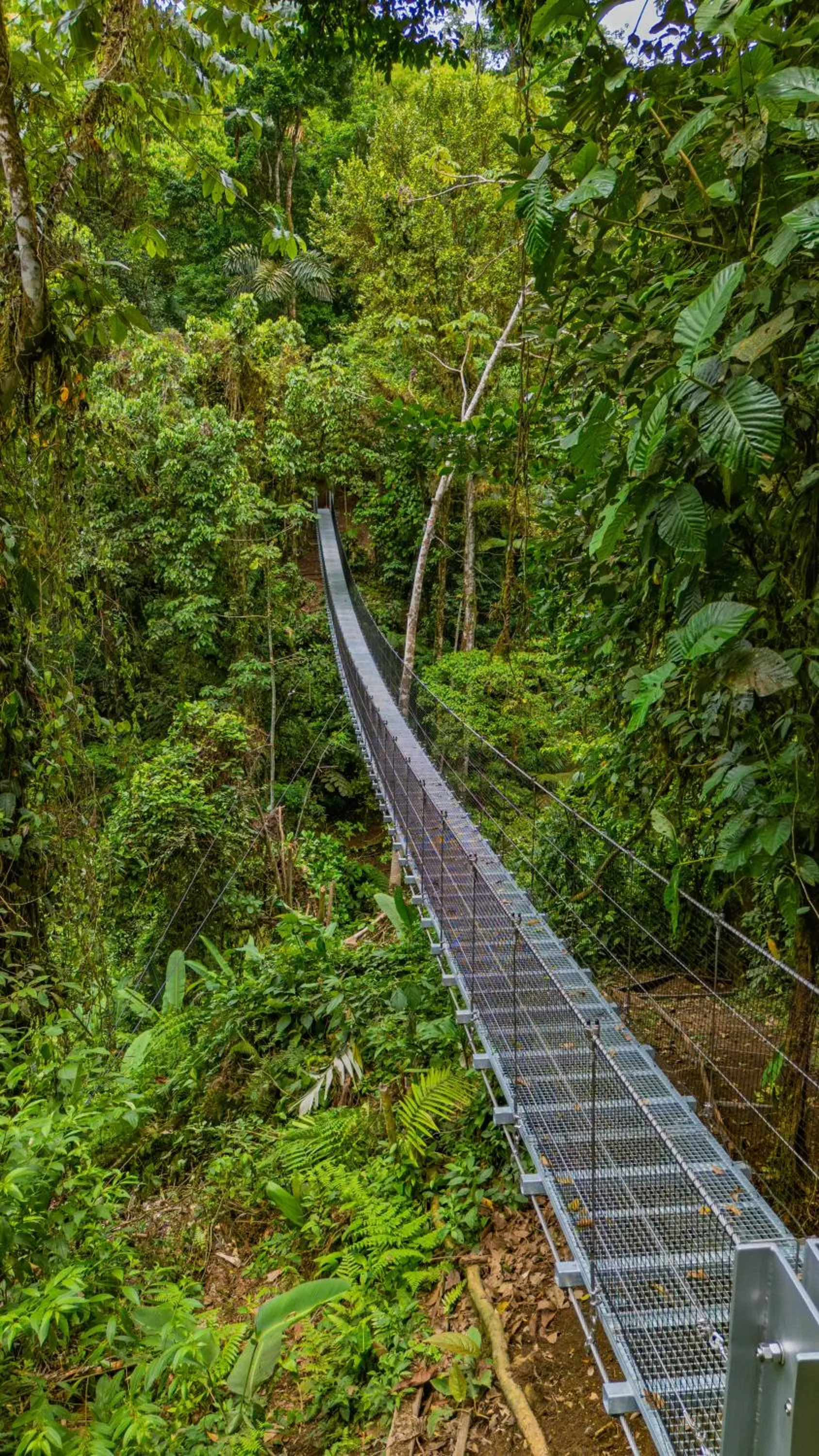 Natural landscape in Lost Iguana Resort and Spa