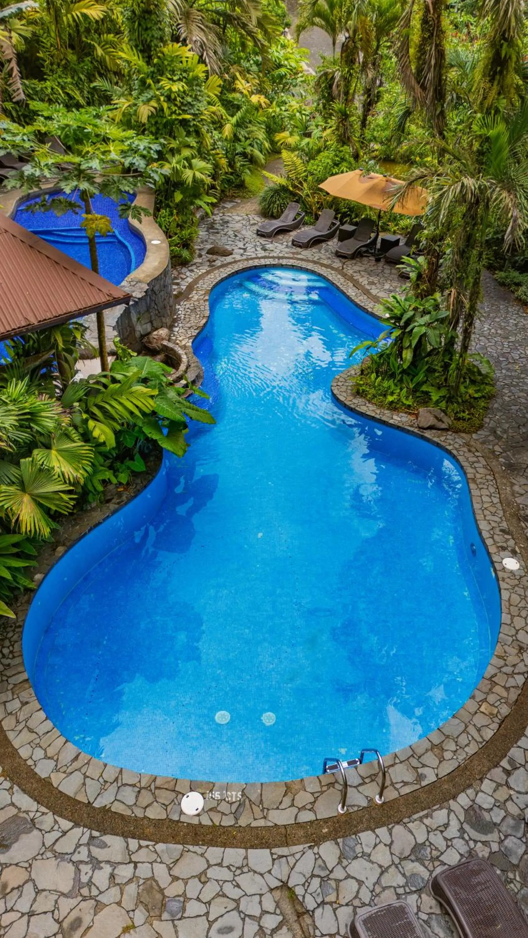 Swimming pool in Lost Iguana Resort and Spa