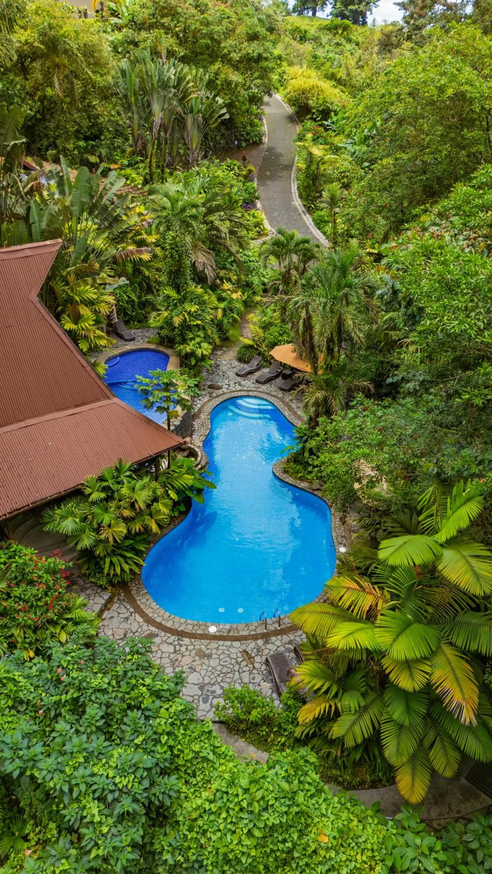 Swimming pool in Lost Iguana Resort and Spa