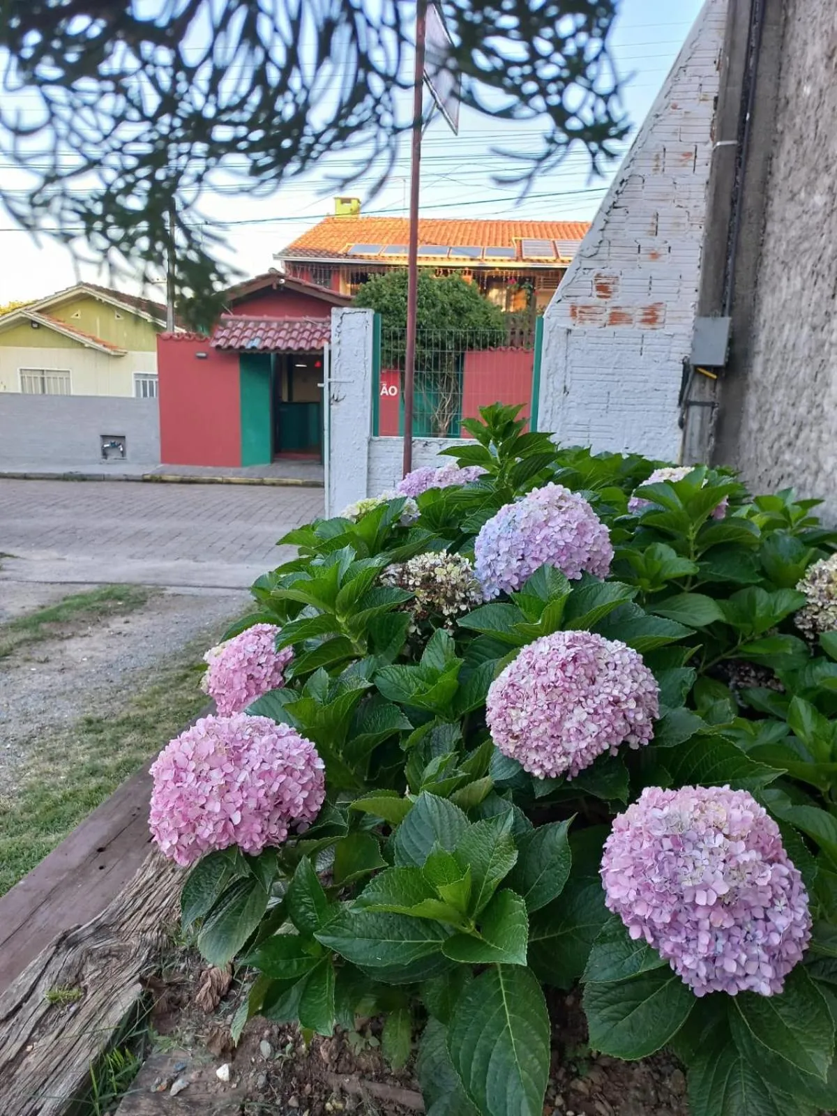 Garden in Pousada Vila D' Itália