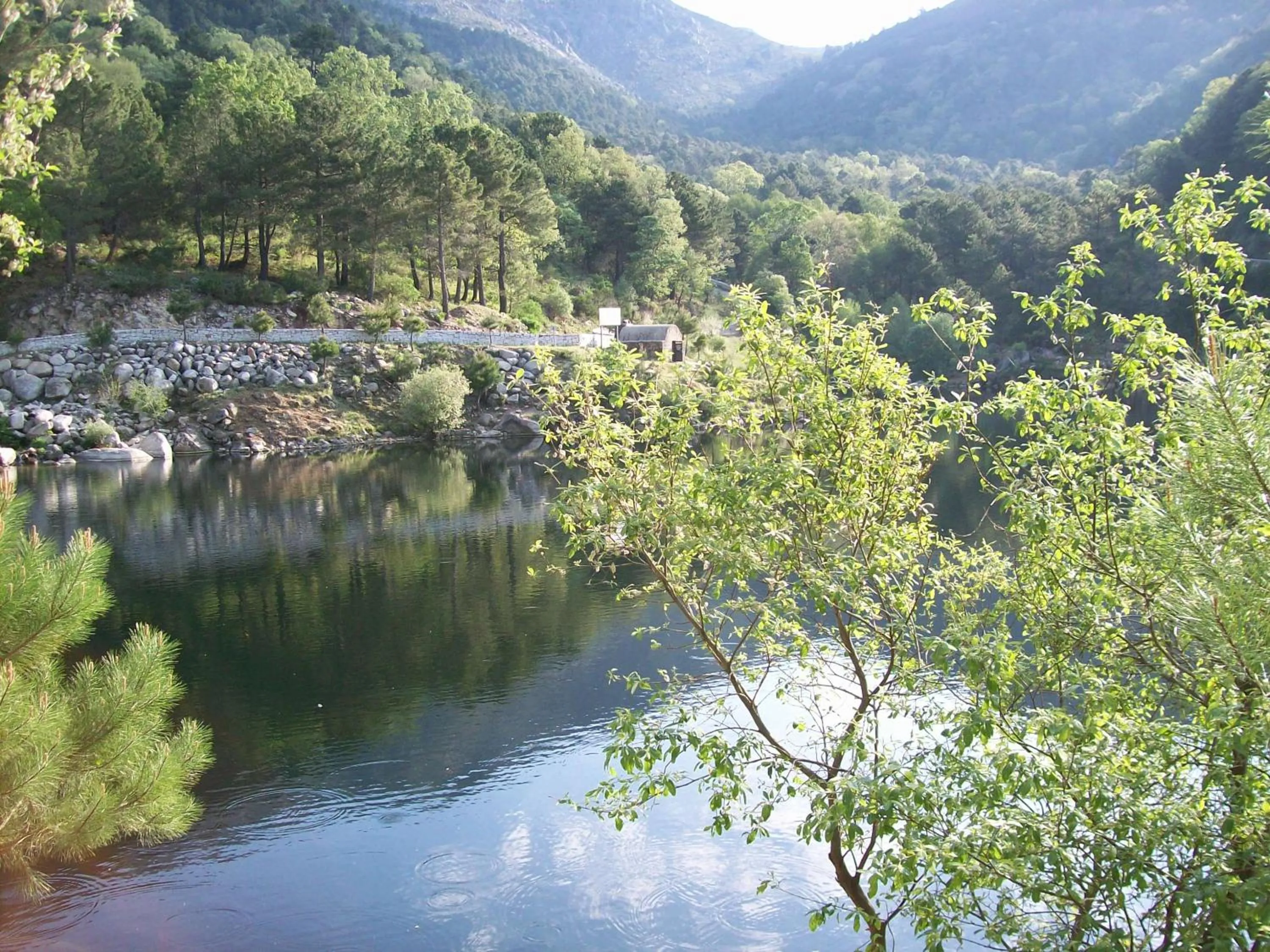 Villa-Piedralaves-aMatalasviñas-piscina-4 viviendas