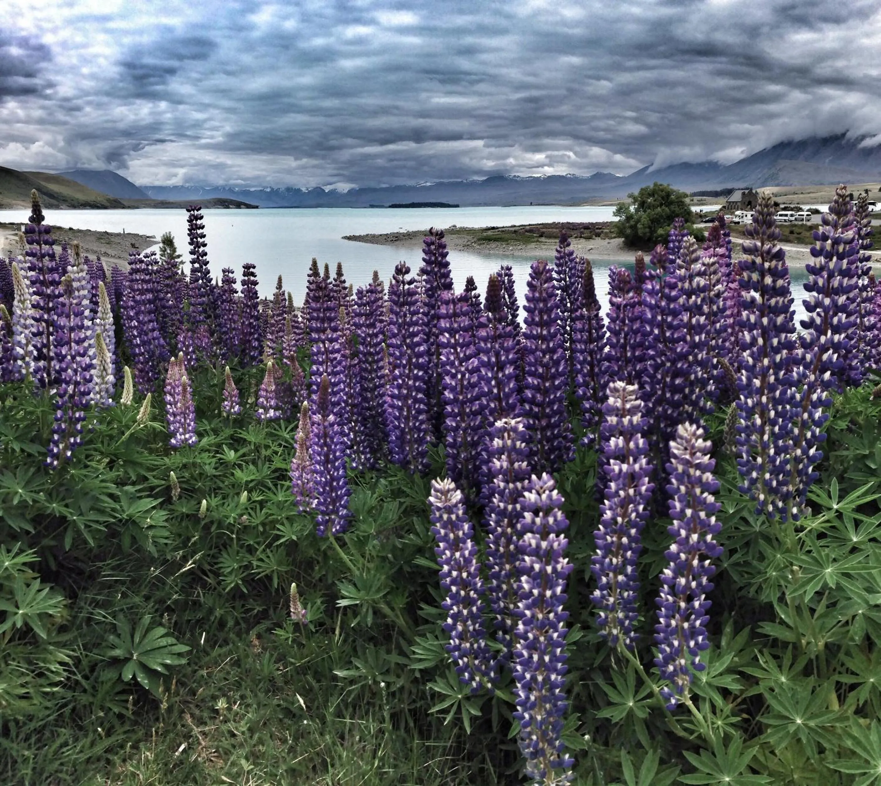 Nearby landmark in Phoenix Motels