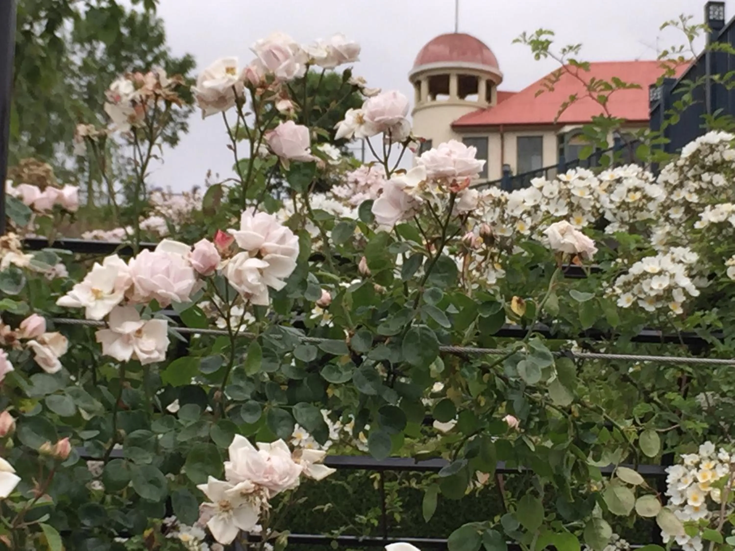 Nearby landmark in Phoenix Motels