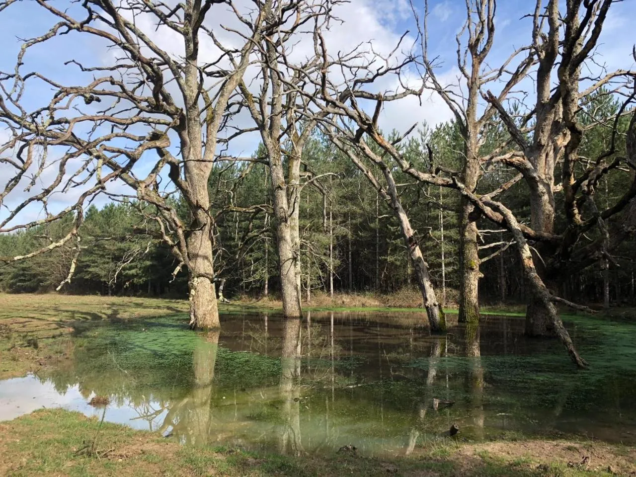 Natural landscape in Loire Valley Lodges - Hotel