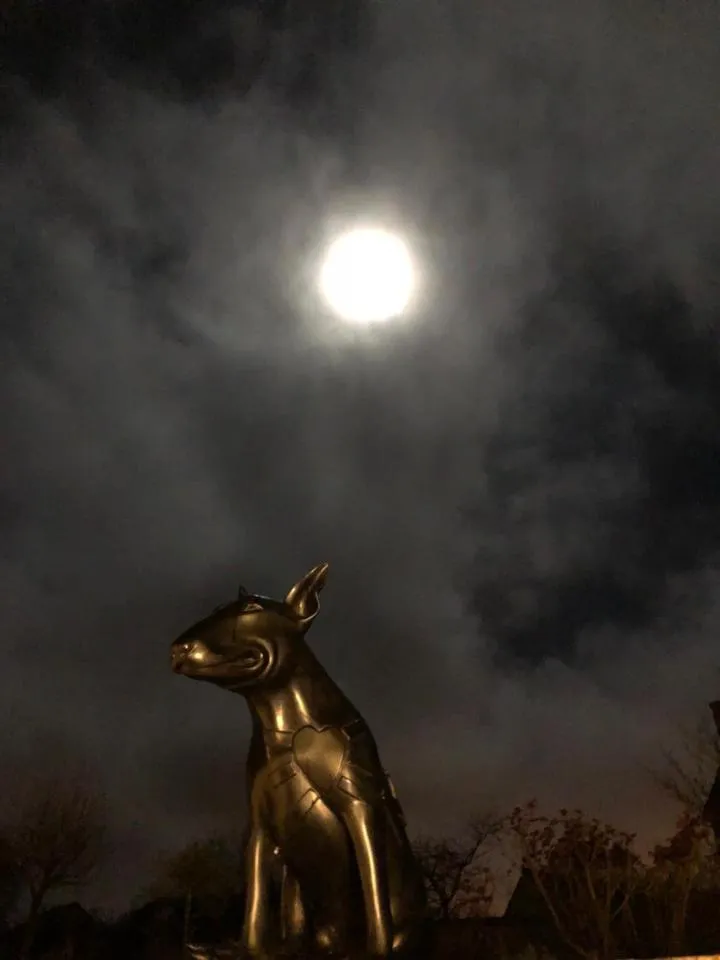 Entertainment in Loire Valley Lodges - Hotel