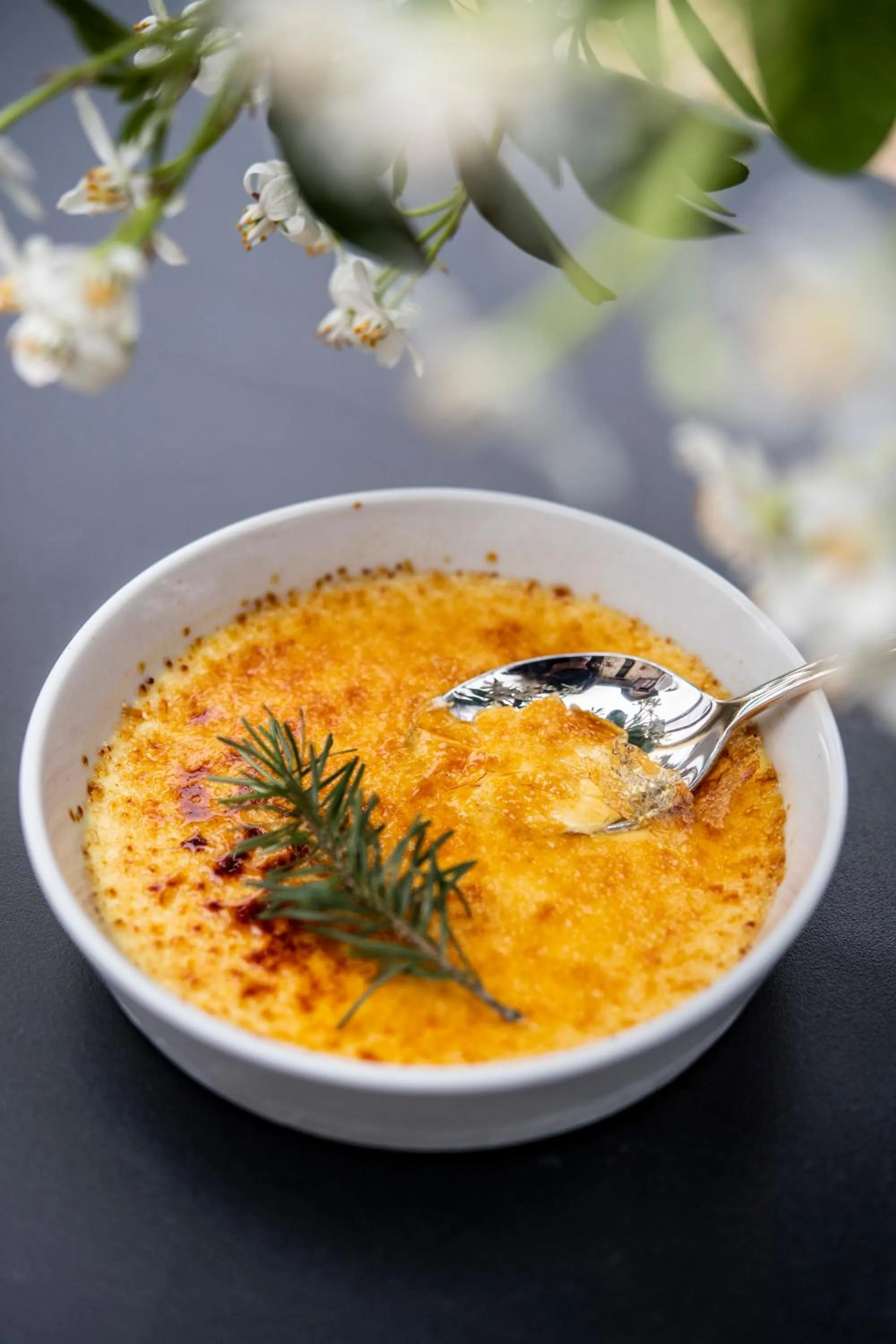 Lunch in Loire Valley Lodges - Hotel