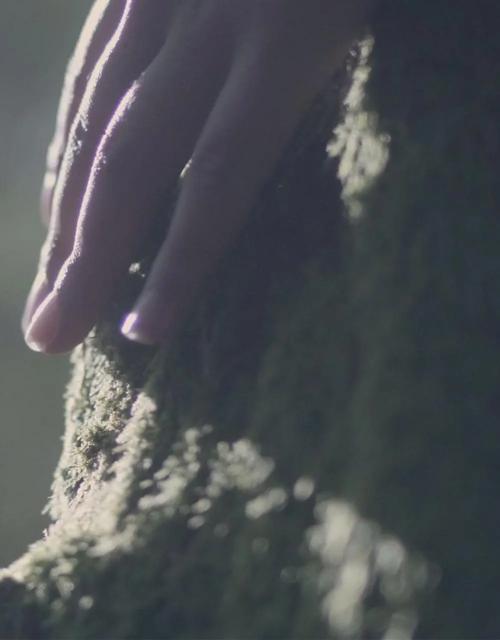 Natural landscape in Loire Valley Lodges - Hotel