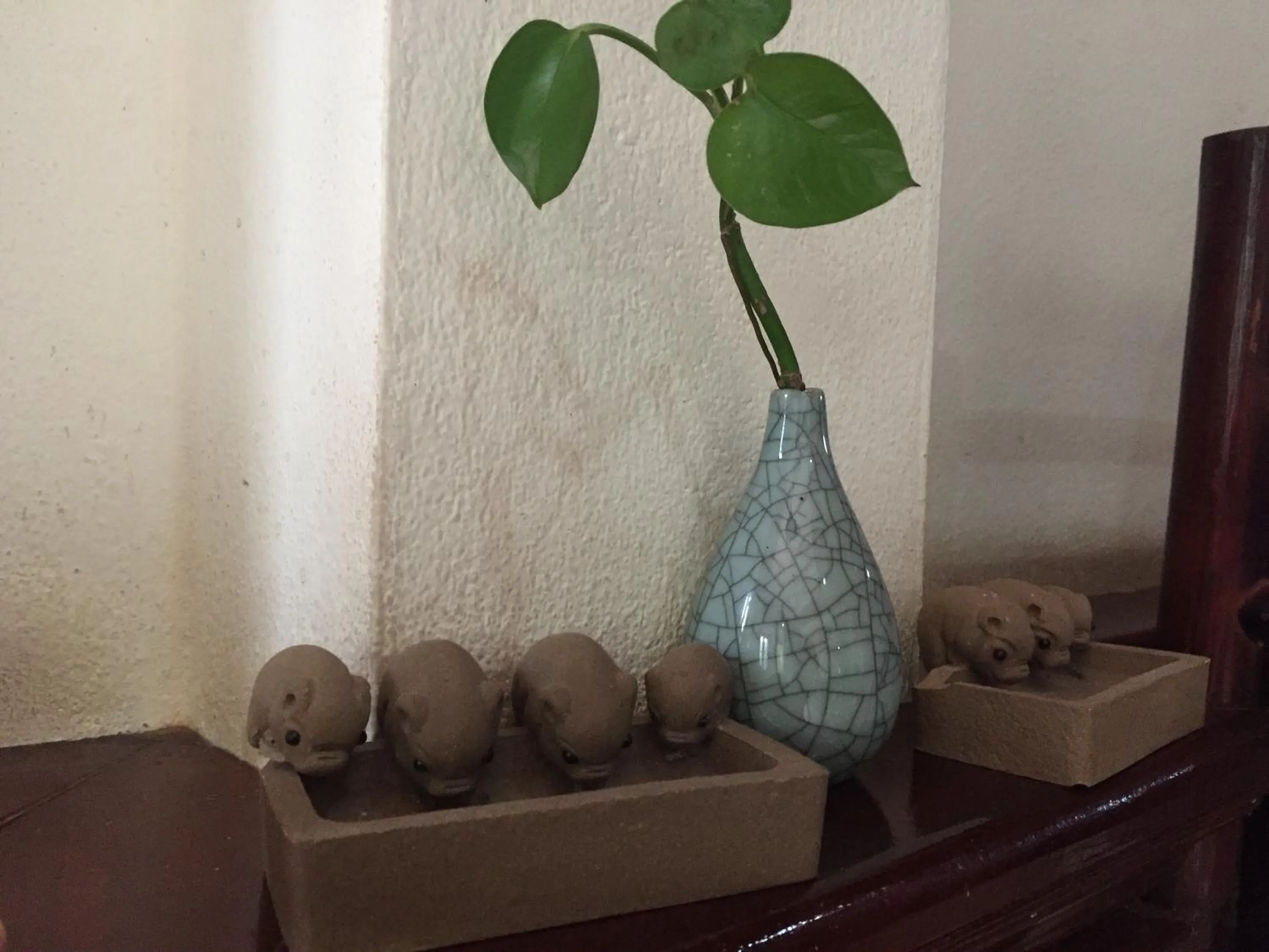 Garden in A Tee Guesthouse