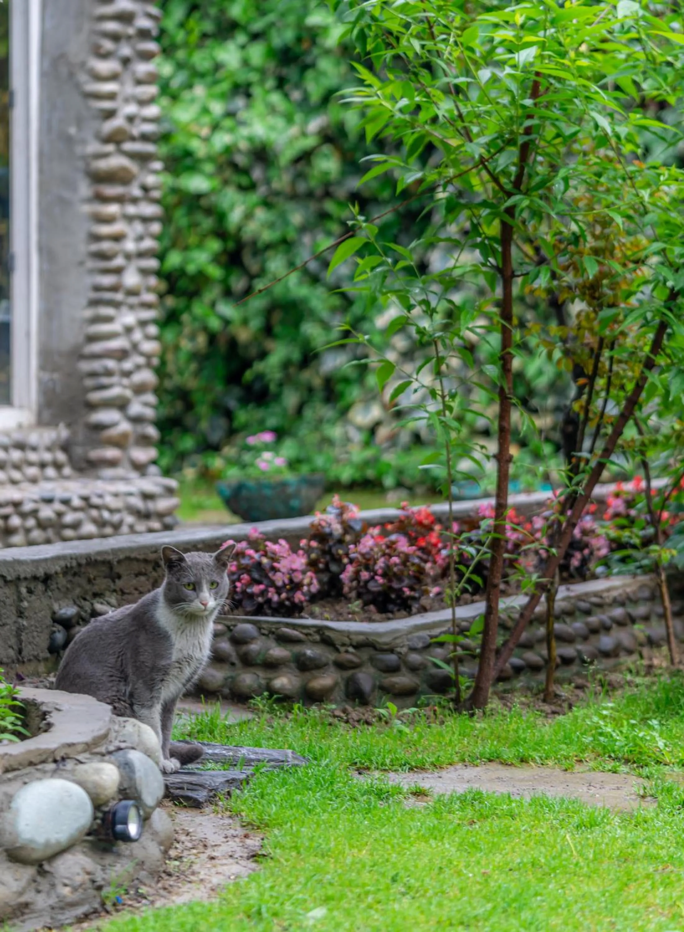 Garden in Hotel Mirage