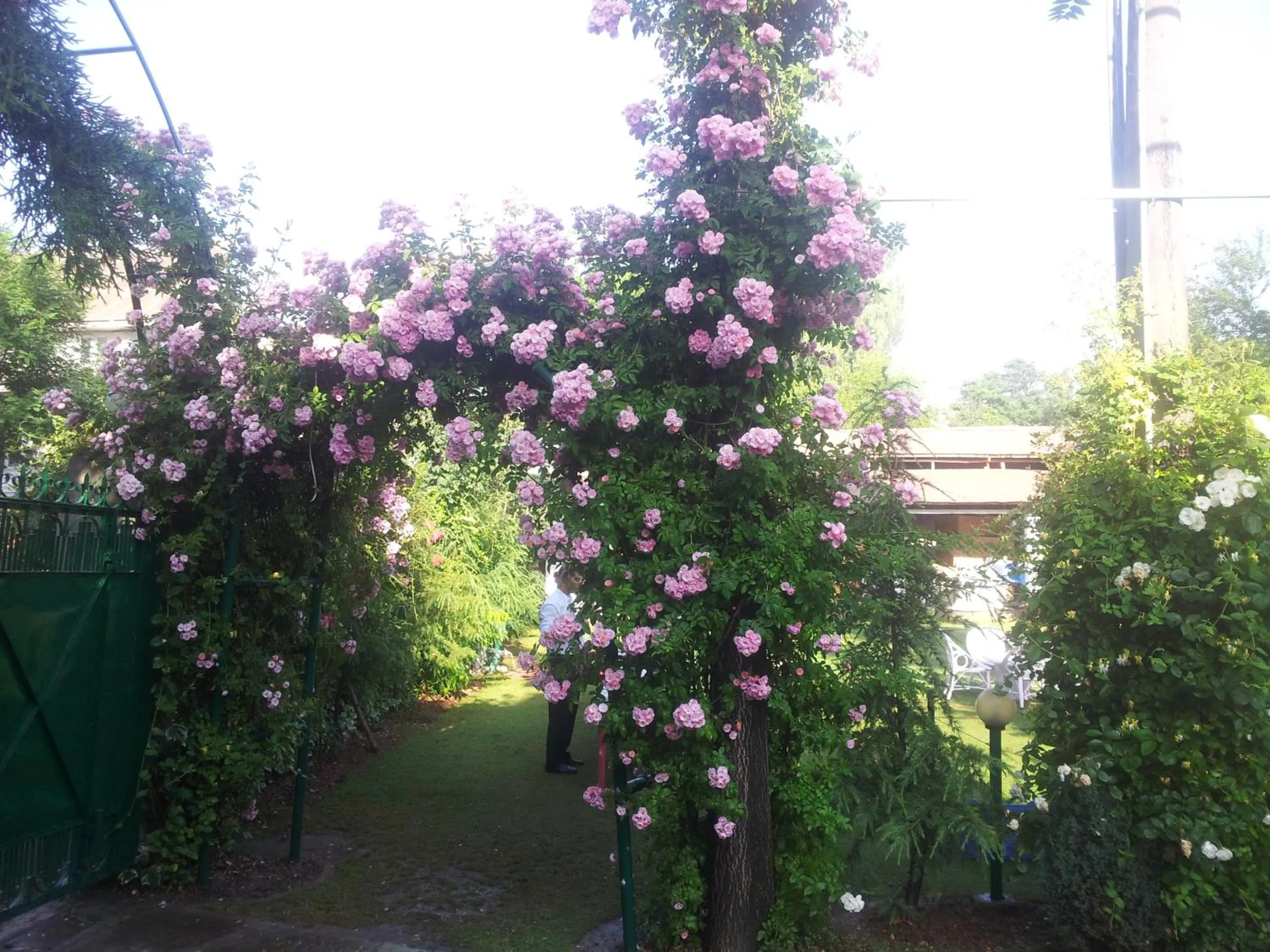 Natural landscape in Hotel Mirage
