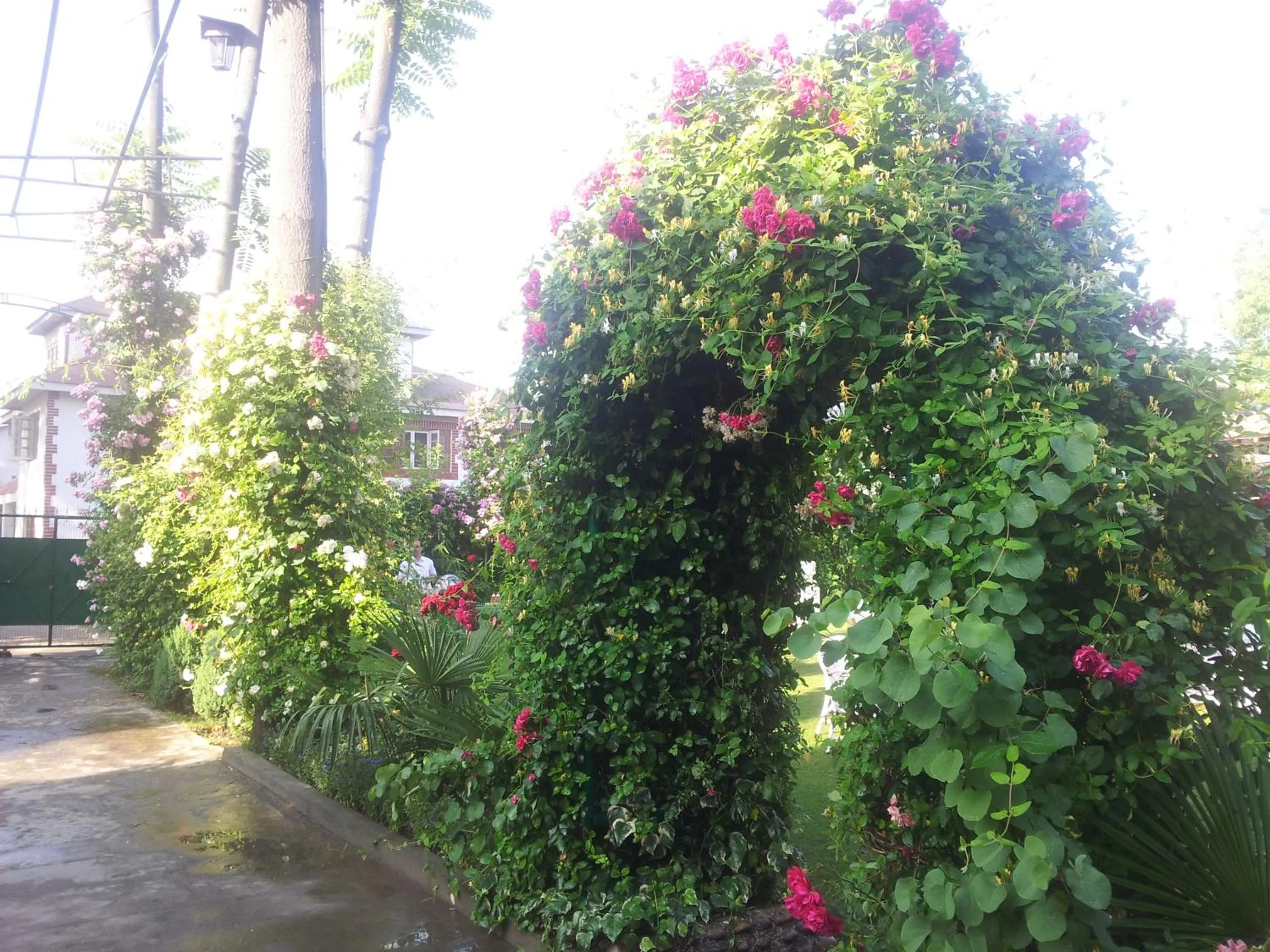 Garden in Hotel Mirage