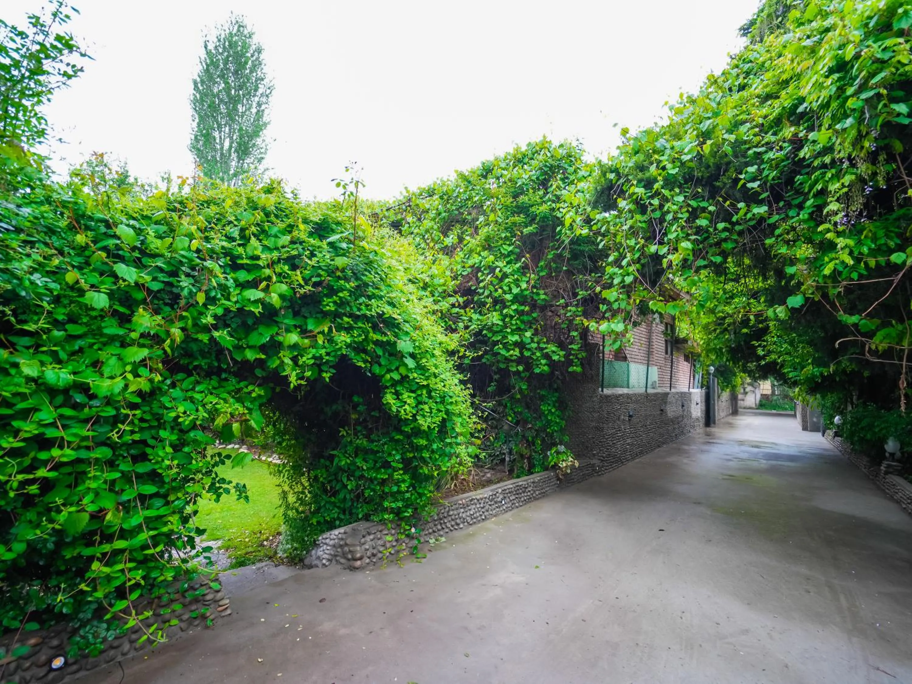 Facade/entrance in Hotel Mirage